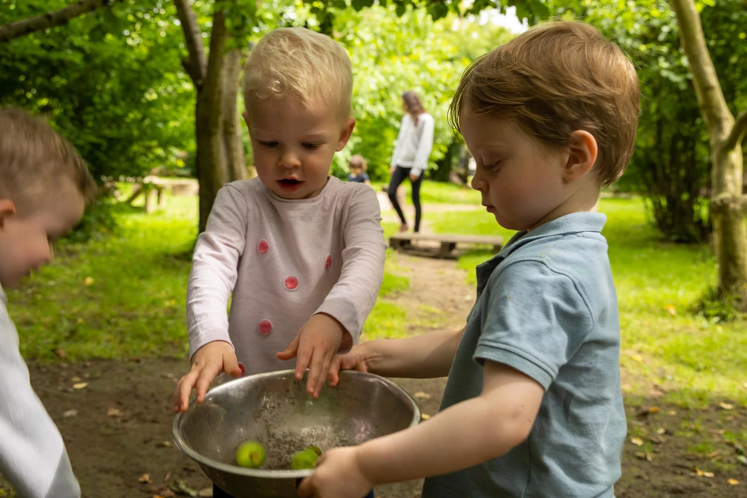 What is a schema? — Beach Babies