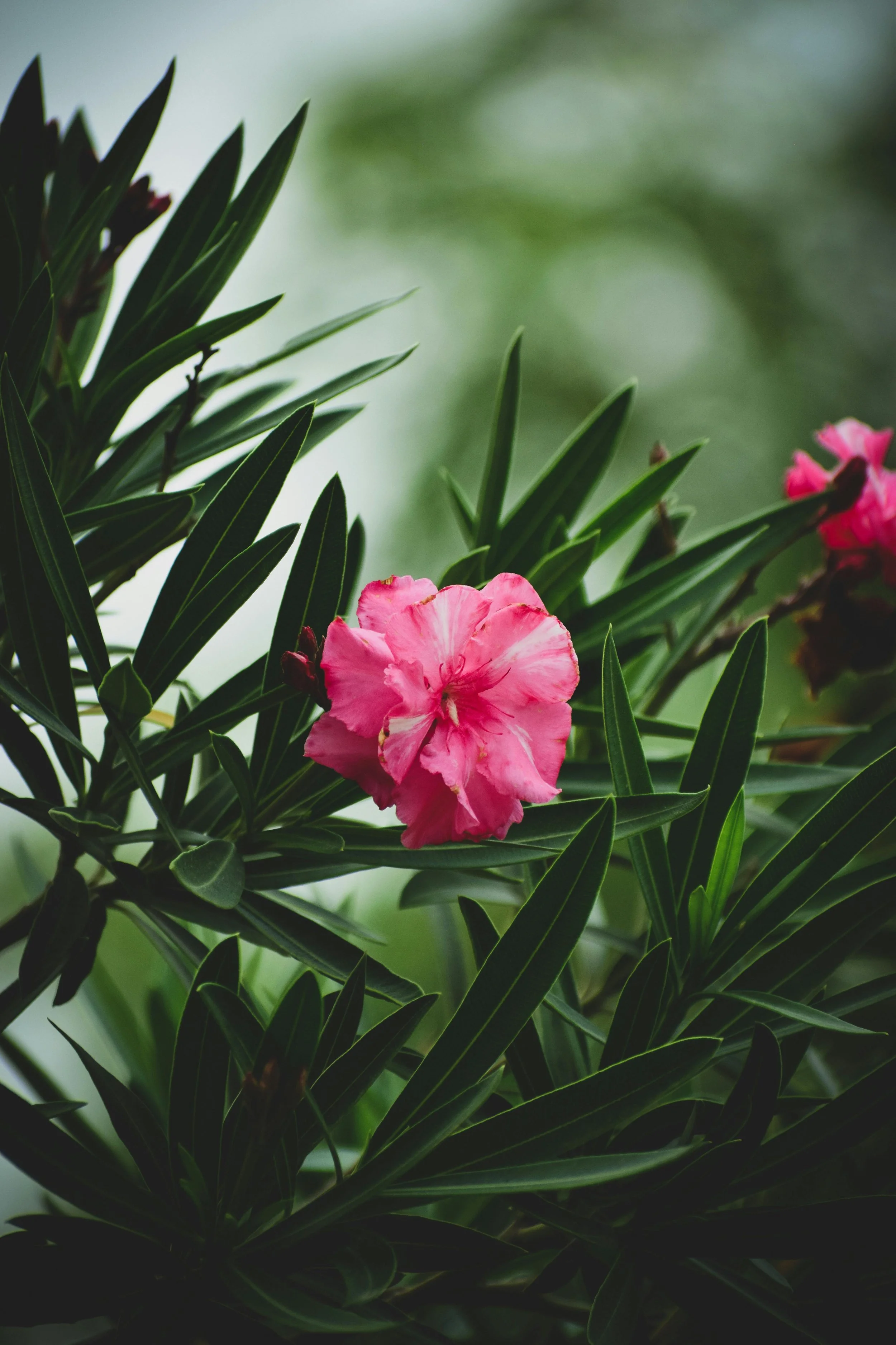 What is Feminine Energy?