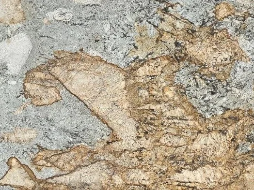 Close-up of granite with large tan and gold mineral formations scattered across a textured gray and black surface.