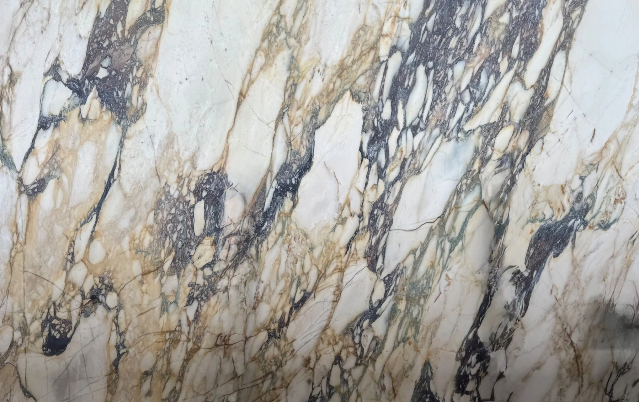 Close-up of a marble surface with cream, black, and gray veining.