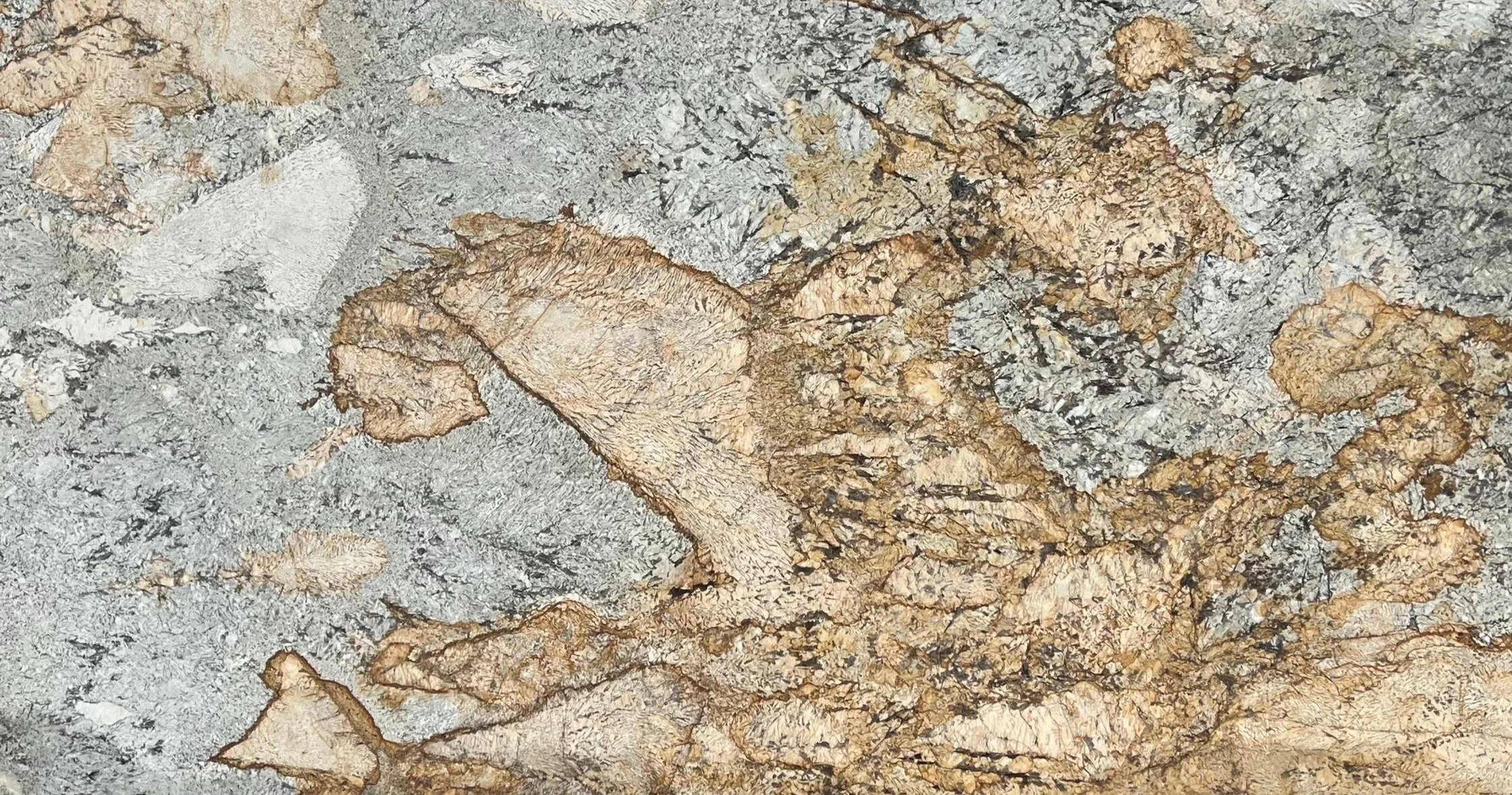 Close-up of a textured rock surface with gray and beige tones and dry, cracked leaves.