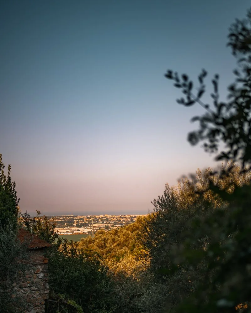 Blick auf eine Stadt im Hintergrund, umgeben von Bäumen und Vegetation im Vordergrund bei Sonnenuntergang