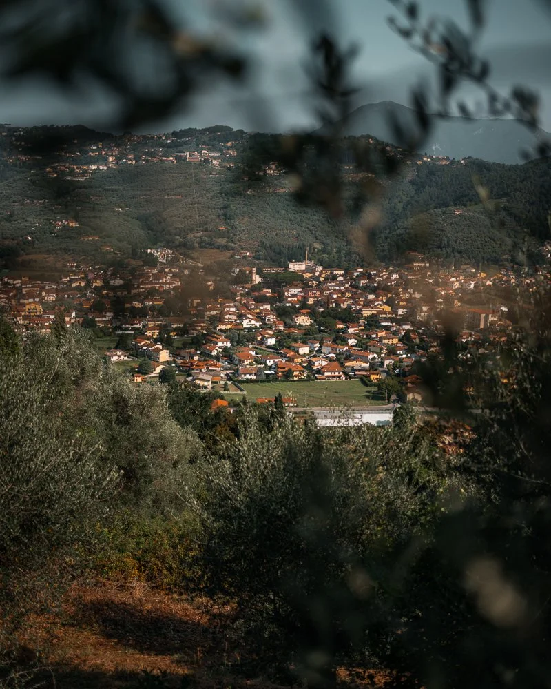 Landschaft mit einer Stadt in einem Tal, umgeben von Hügeln und Bäumen im Vordergrund
