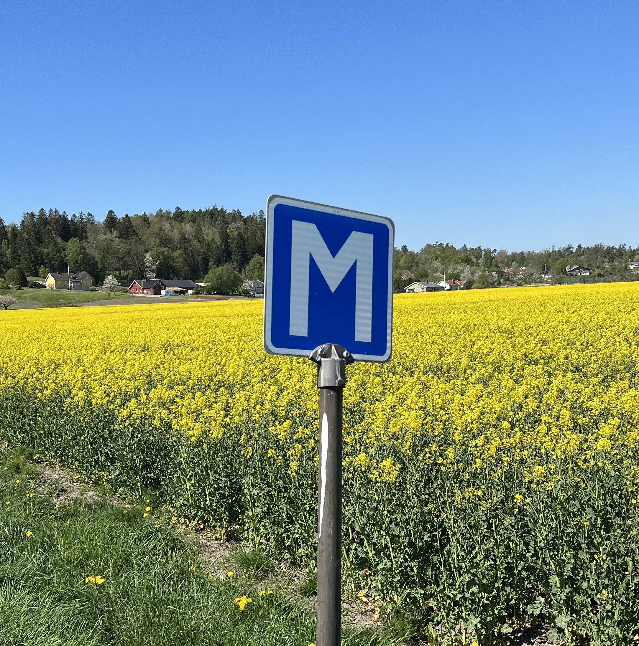 Veckans bästa möte?