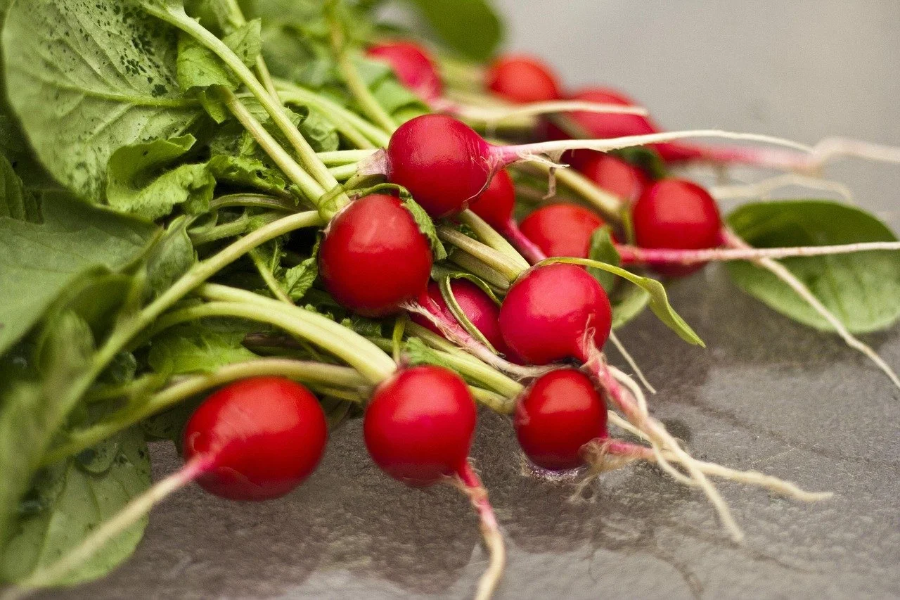 radishes (by the bunch)