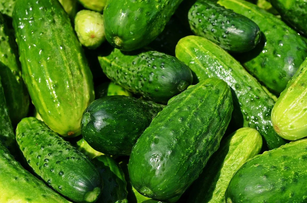 baby cucumbers (by the pound)
