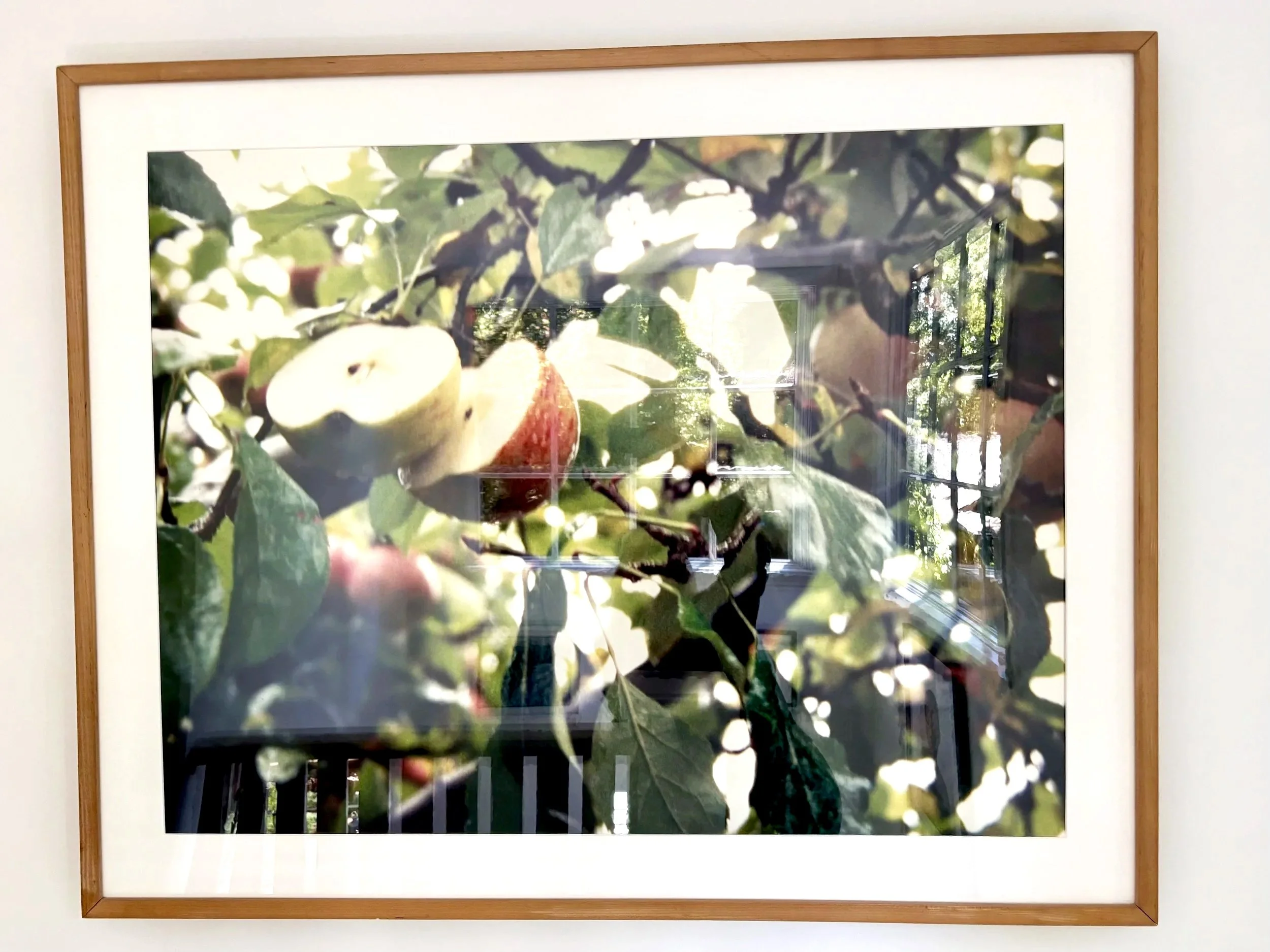 E+demaray+Apples.jpg
