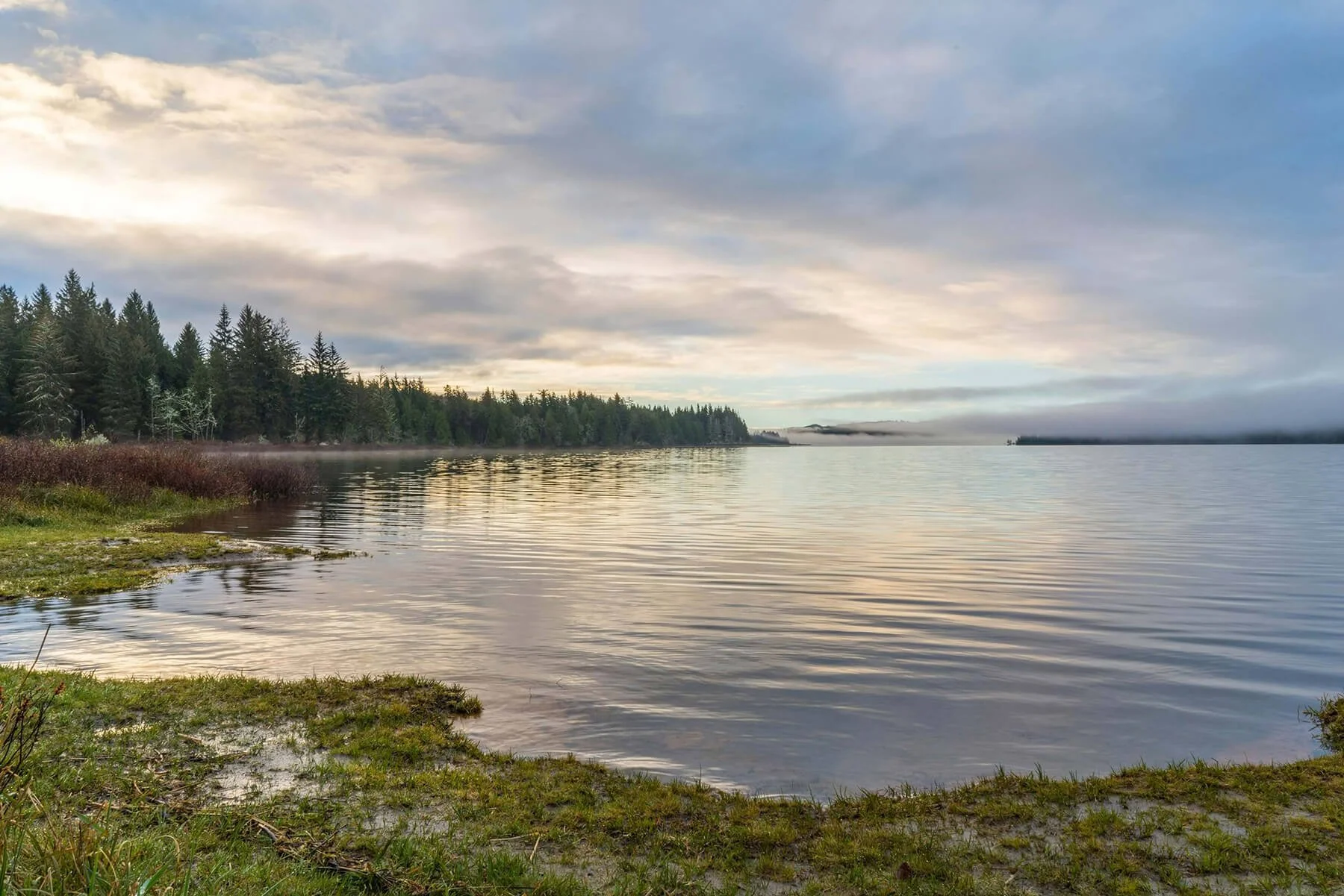 A calm body of water reflecting a cloudy sky, with a distant tree-lined shoreline and some fog in the background.