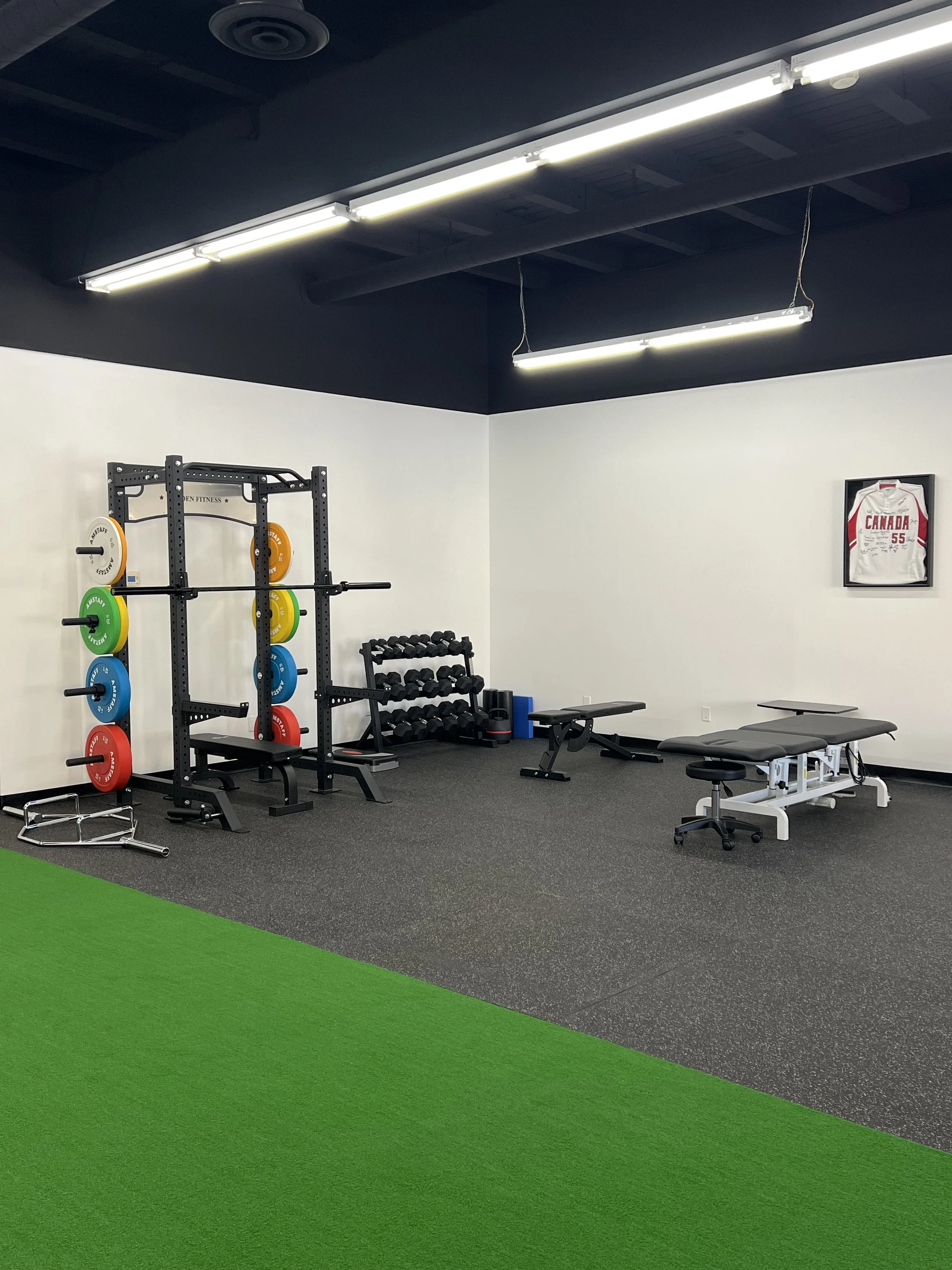 Interior view of a gym with weightlifting equipment, including a weight rack with colorful weights, a row of dumbbells, a treatment table, a framed hockey jersey on the wall, and artificial turf.