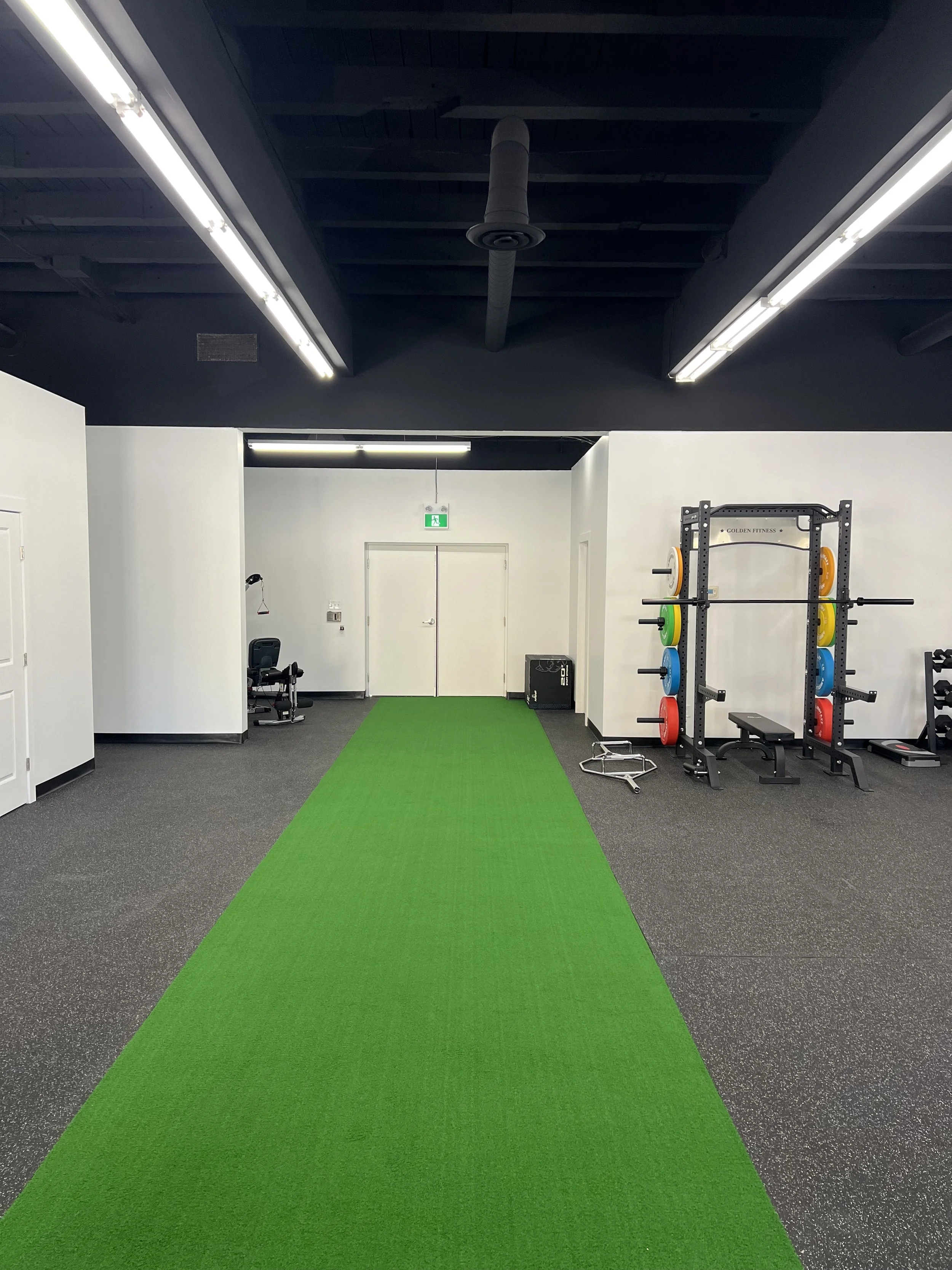 Gym with artificial turf, weightlifting equipment, and bright overhead lights.