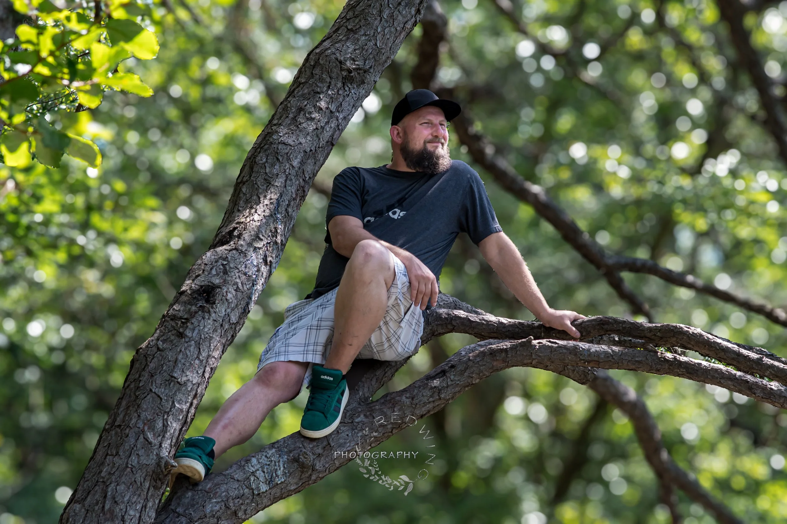 A man with a beard wearing a black t-shirt, plaid shorts, and green sneakers sitting on a tree branch amidst green foliage.