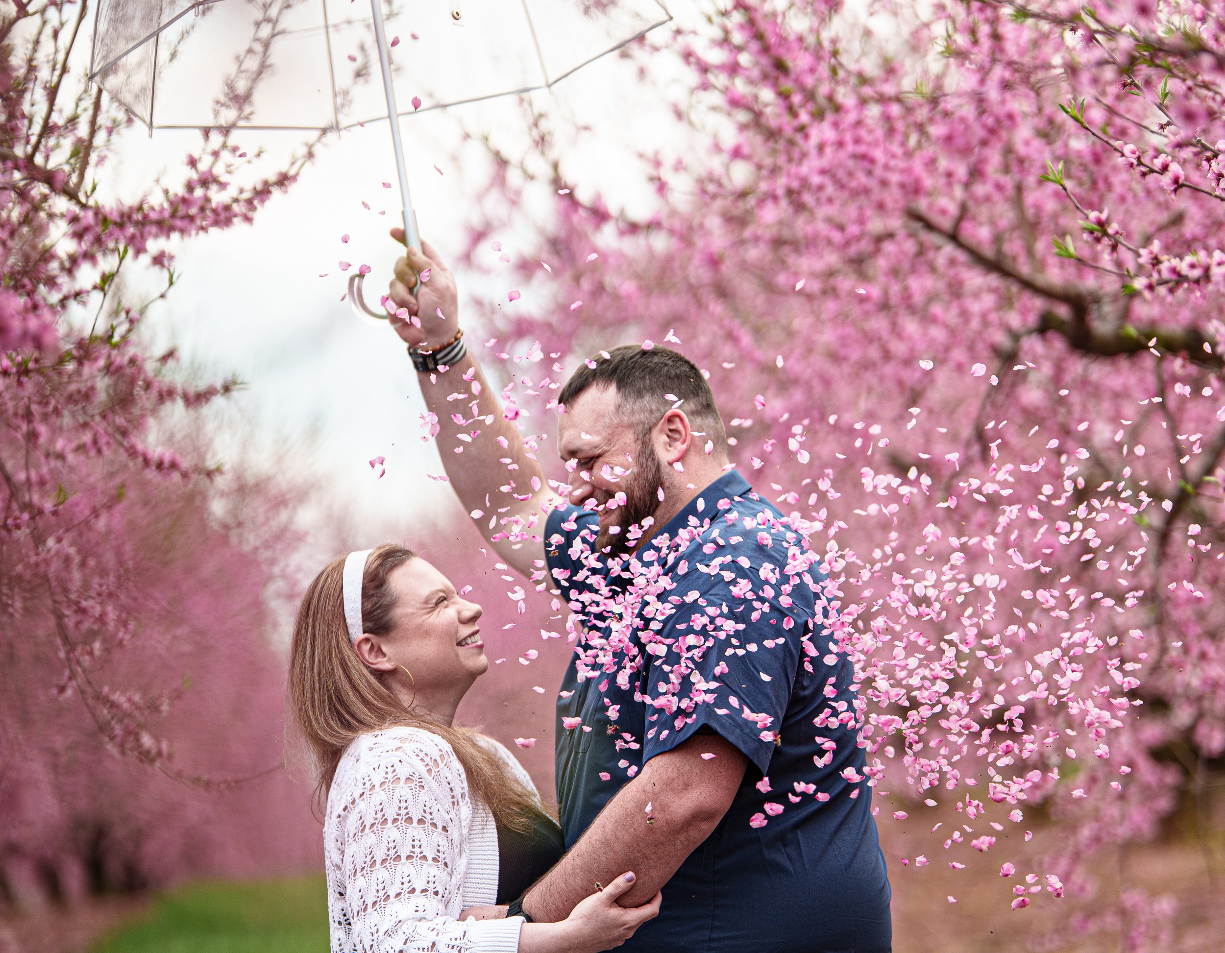A man and woman are standing outdoors among pink cherry blossom trees. The man is holding an umbrella and is embracing the woman, who is smiling. Pink flower petals are falling around them.