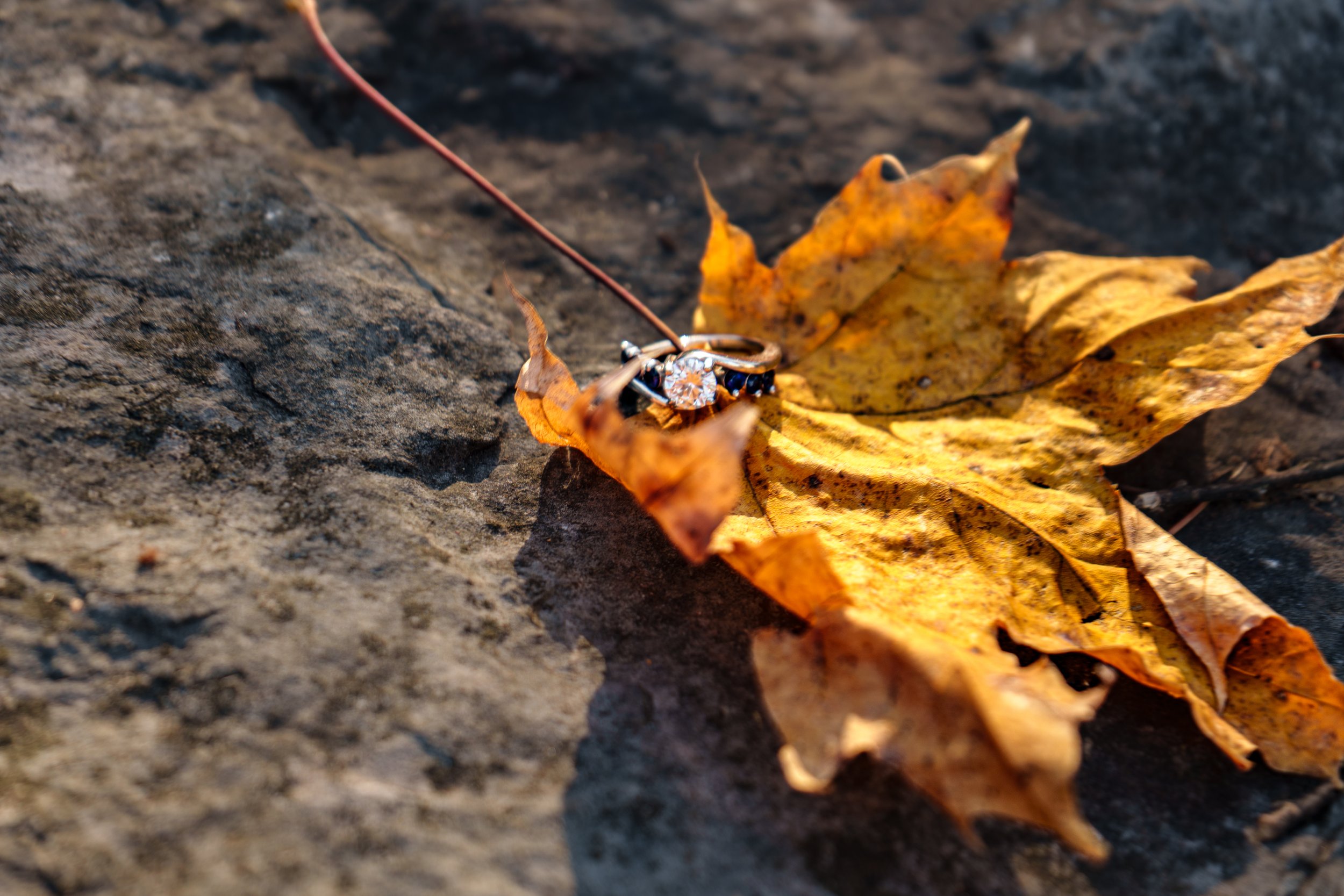 Close-up of a gold wedding ring with a diamond, resting on an orange fallen autumn leaf on a rough dark surface.