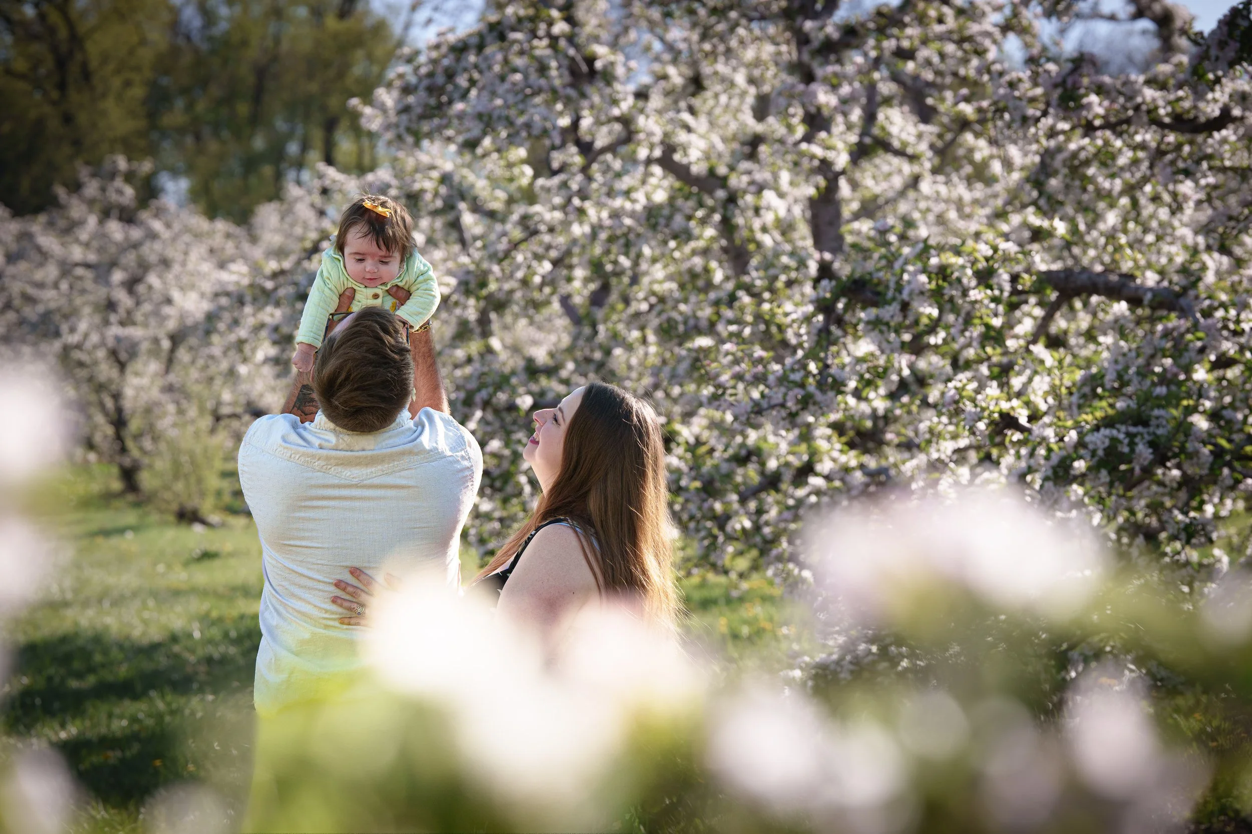 A man lifts a young girl in the air while a woman smiles nearby. They are outdoors among blooming trees with white flowers.