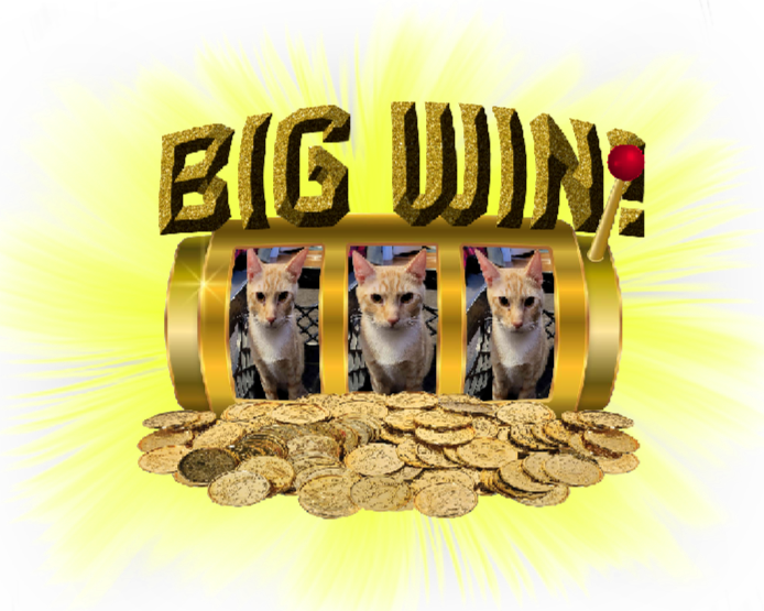 IMG_20250529_011136.png