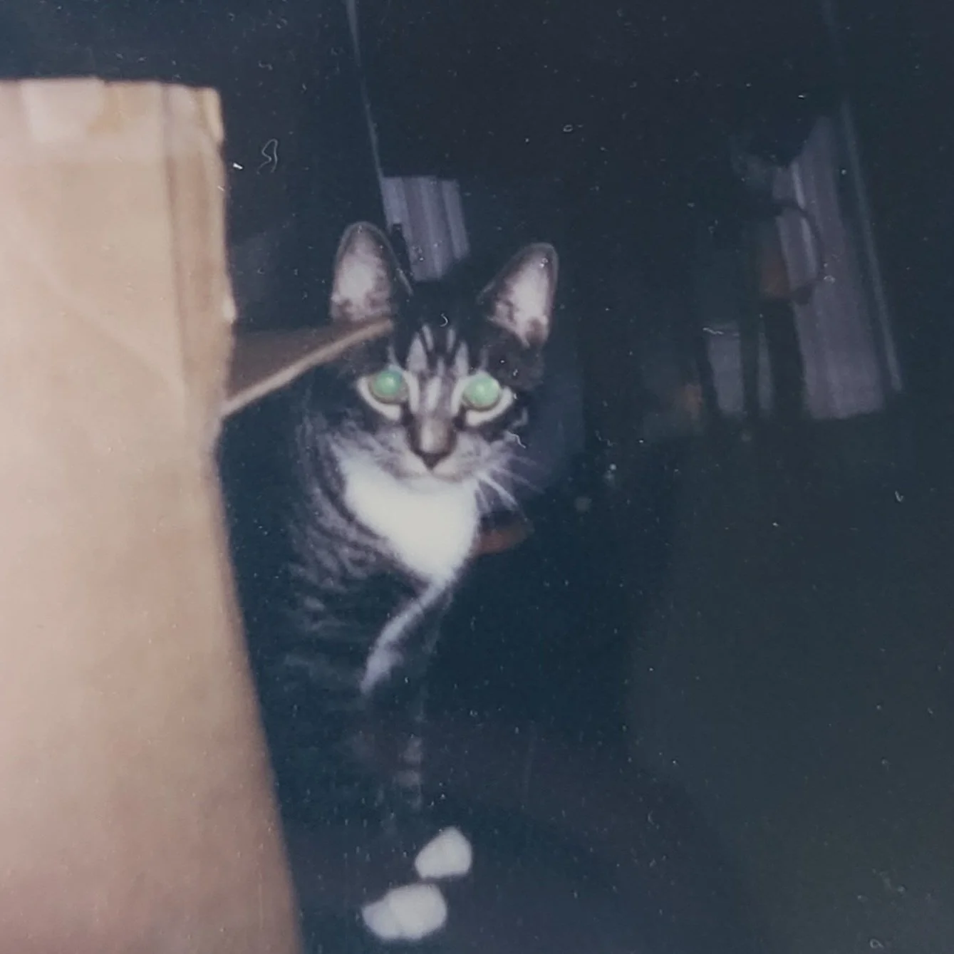 20230923_132707.jpg