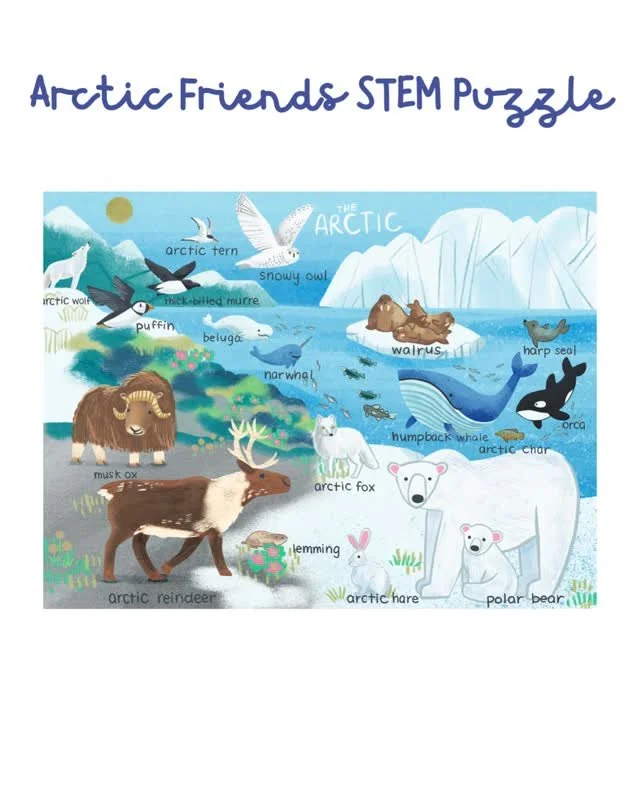 🧊 Welcome to the Arctic 🐻&zwj;❄️
Swipe through this icy ecosystem and see how many animals you can spot 👀❄️

This illustration is an Arctic animal STEM puzzle, designed to spark curiosity about wildlife, habitats, and how species are connected in 
