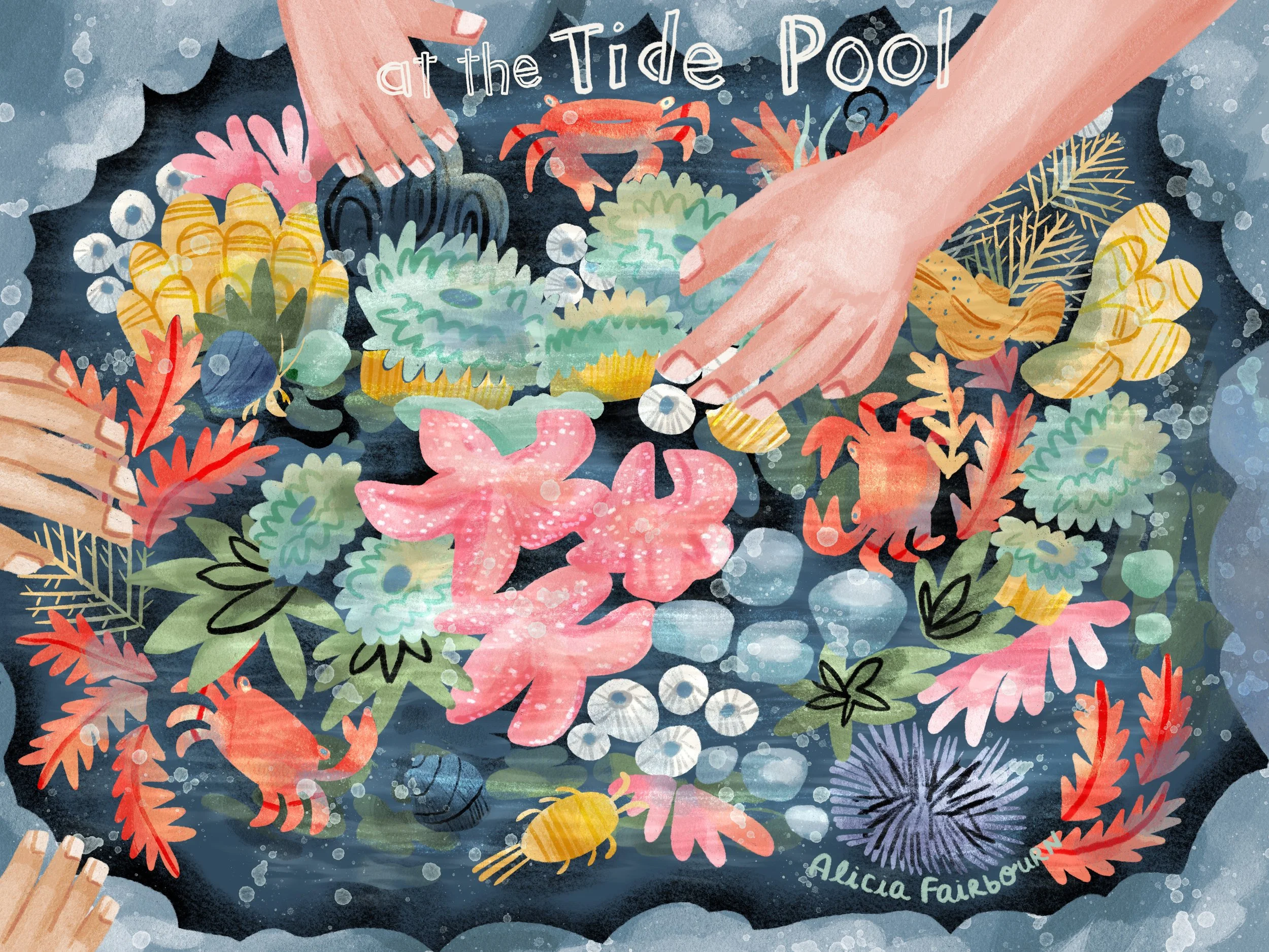 tidepool_finalart.jpg