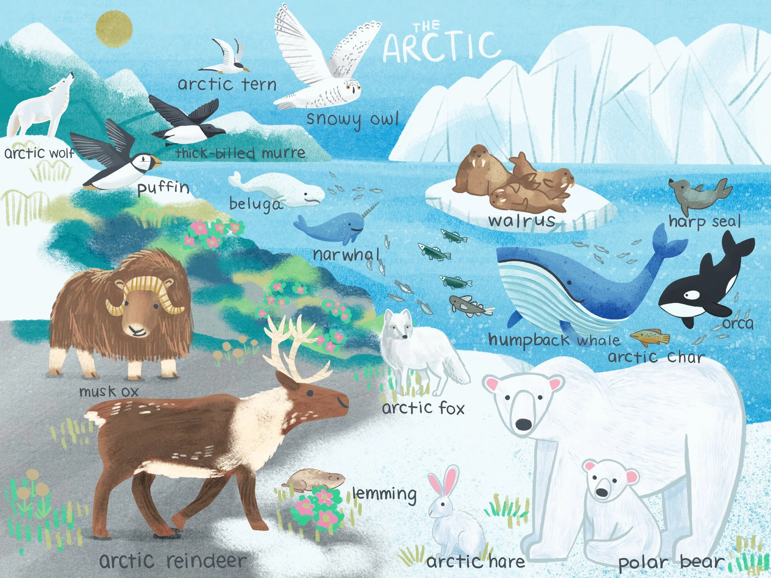 Untitled_Artwork 1 (1).jpg