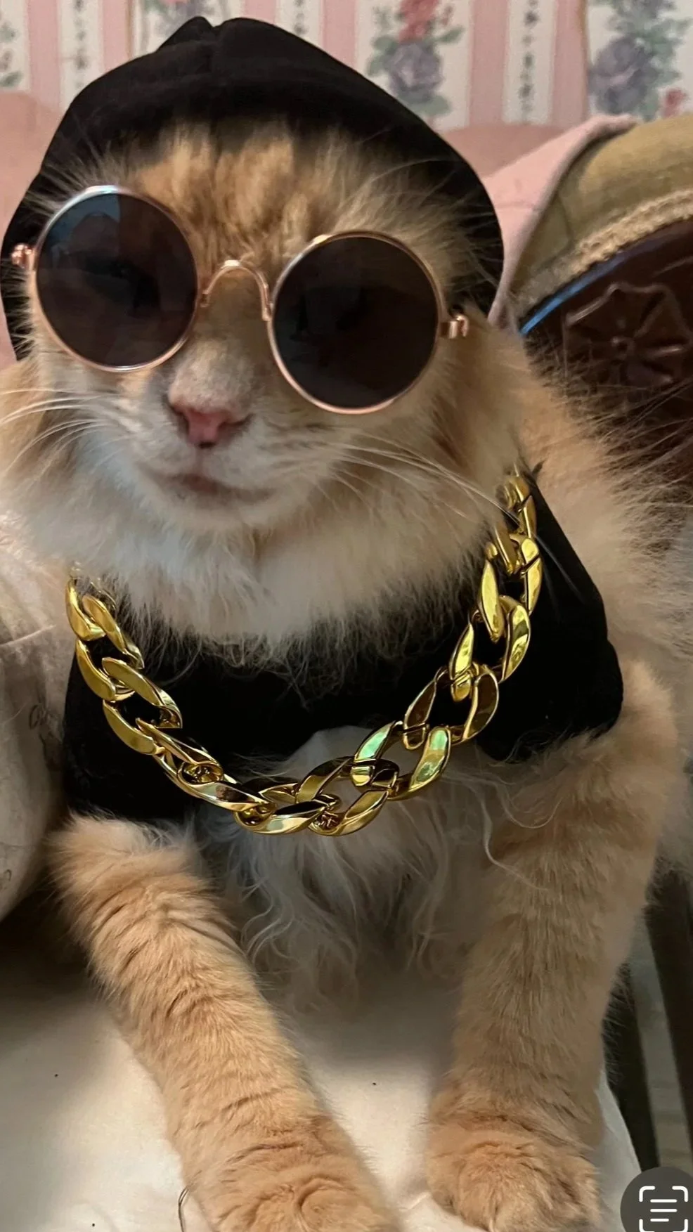 A cat wearing round sunglasses, a black hat, a gold chain, and a black outfit.