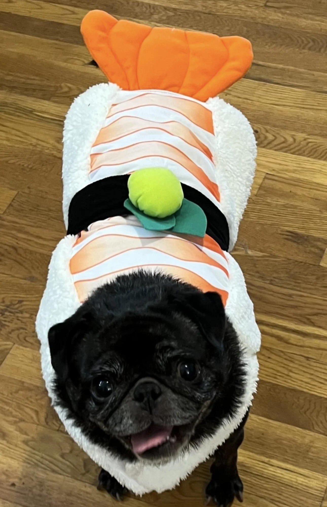 Luna - A sushi