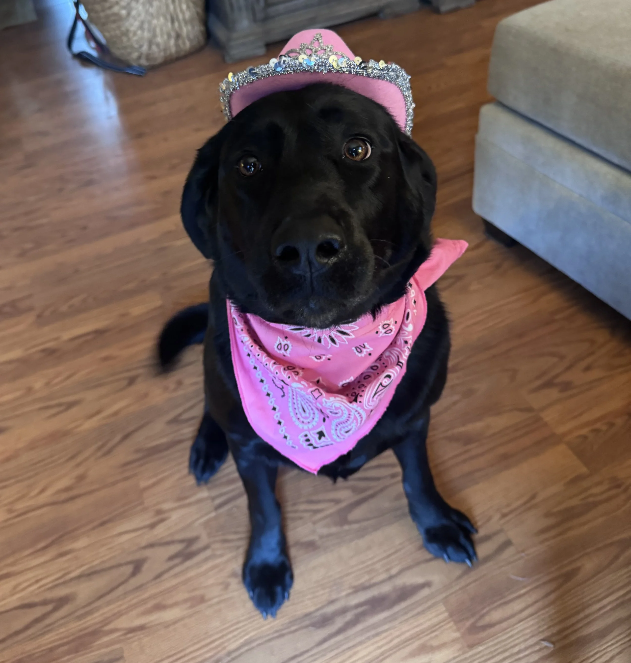 River - Space Cowgirl