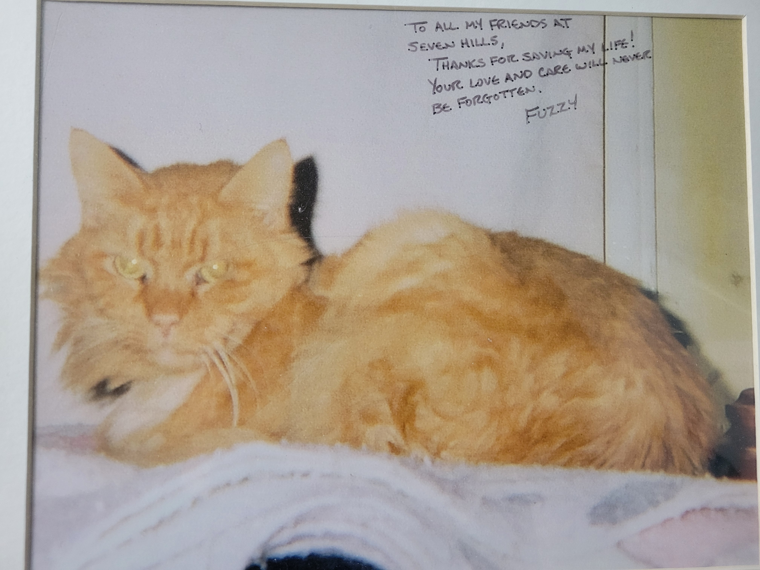 Fuzzy "Thanks for saving my life! Your love and care will never be forgotten"