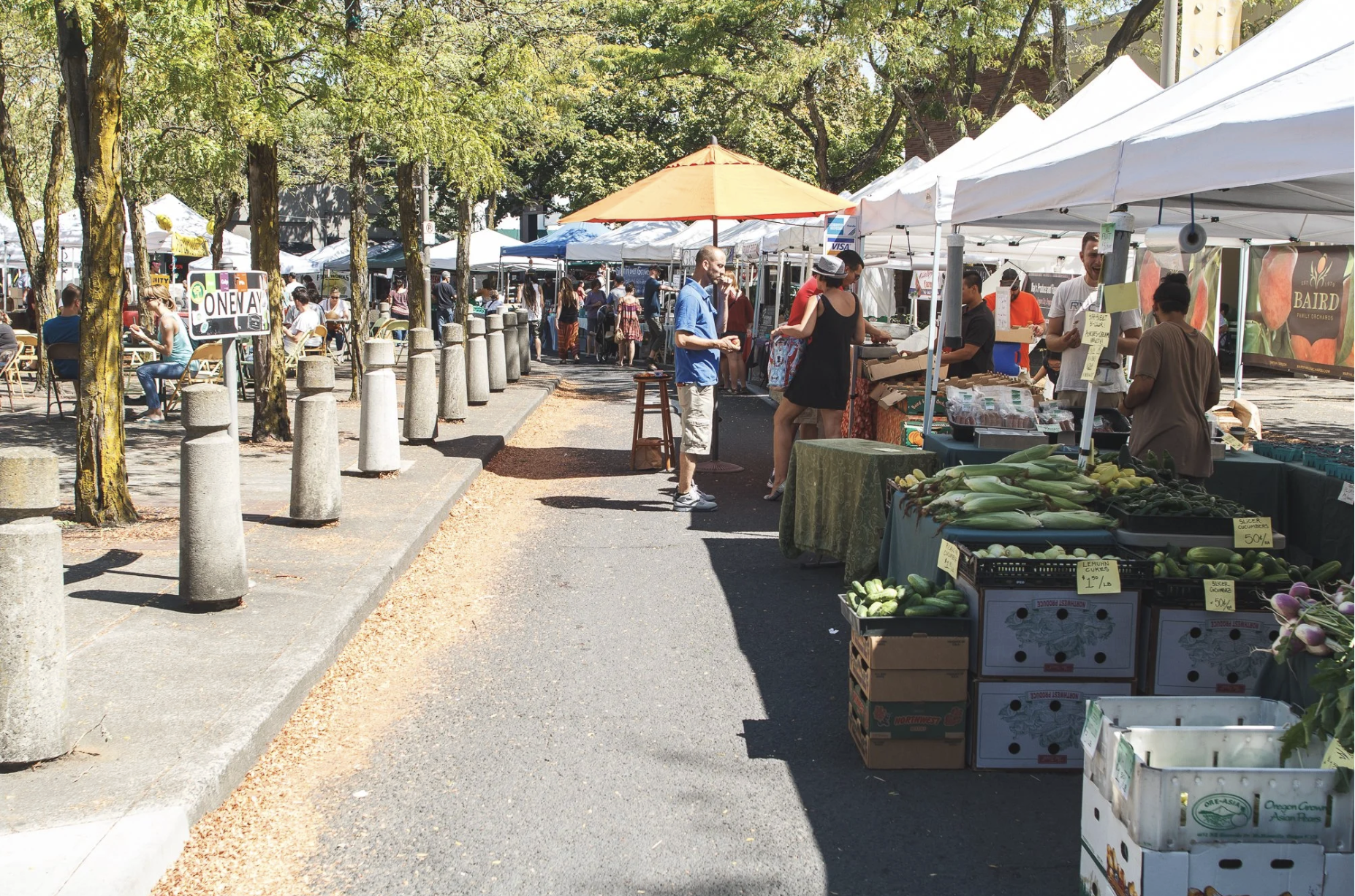 Saturdays in the Square