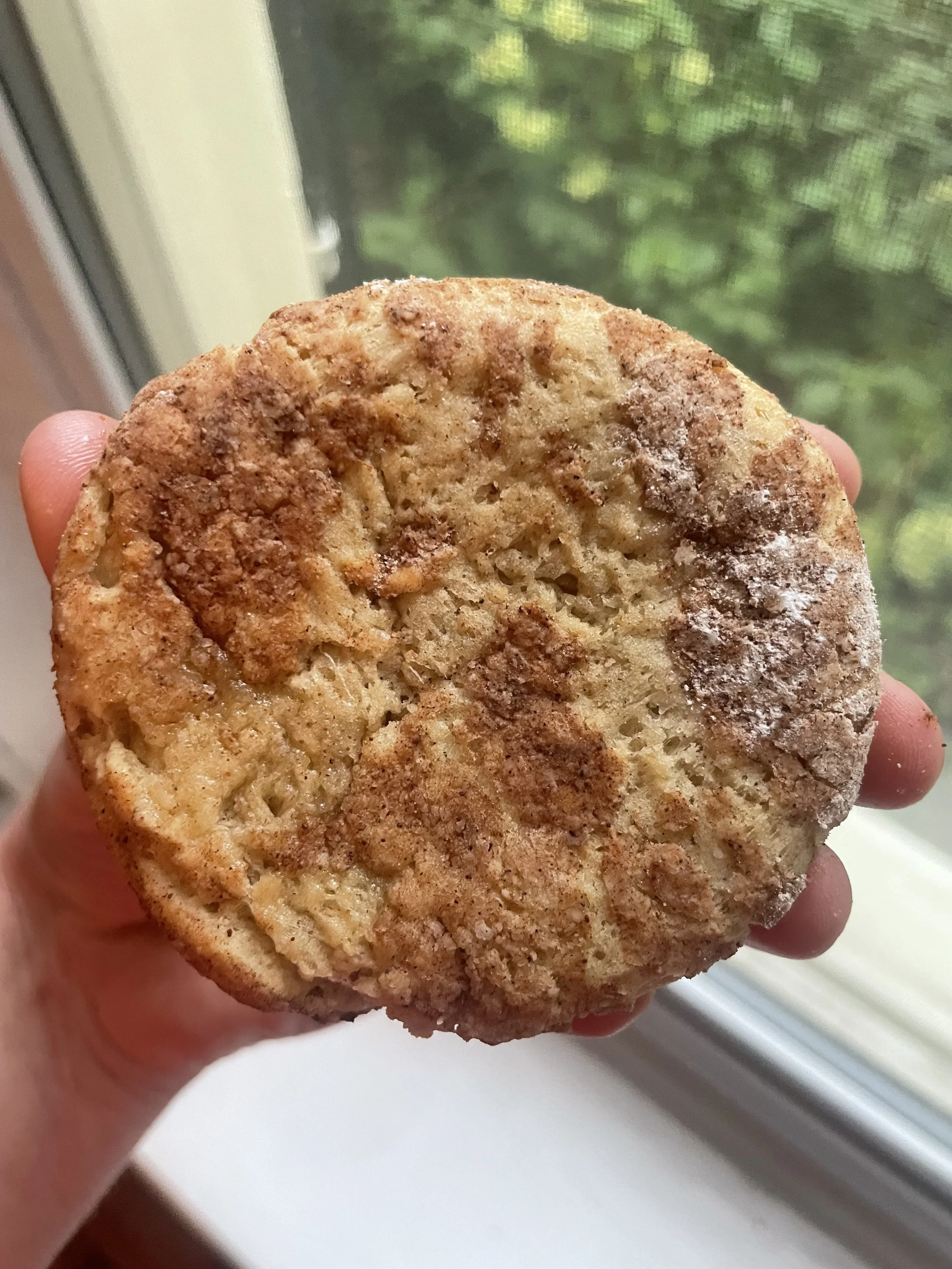 Apple Cinnamon Sourdough Cookies ($14) (6 pack)