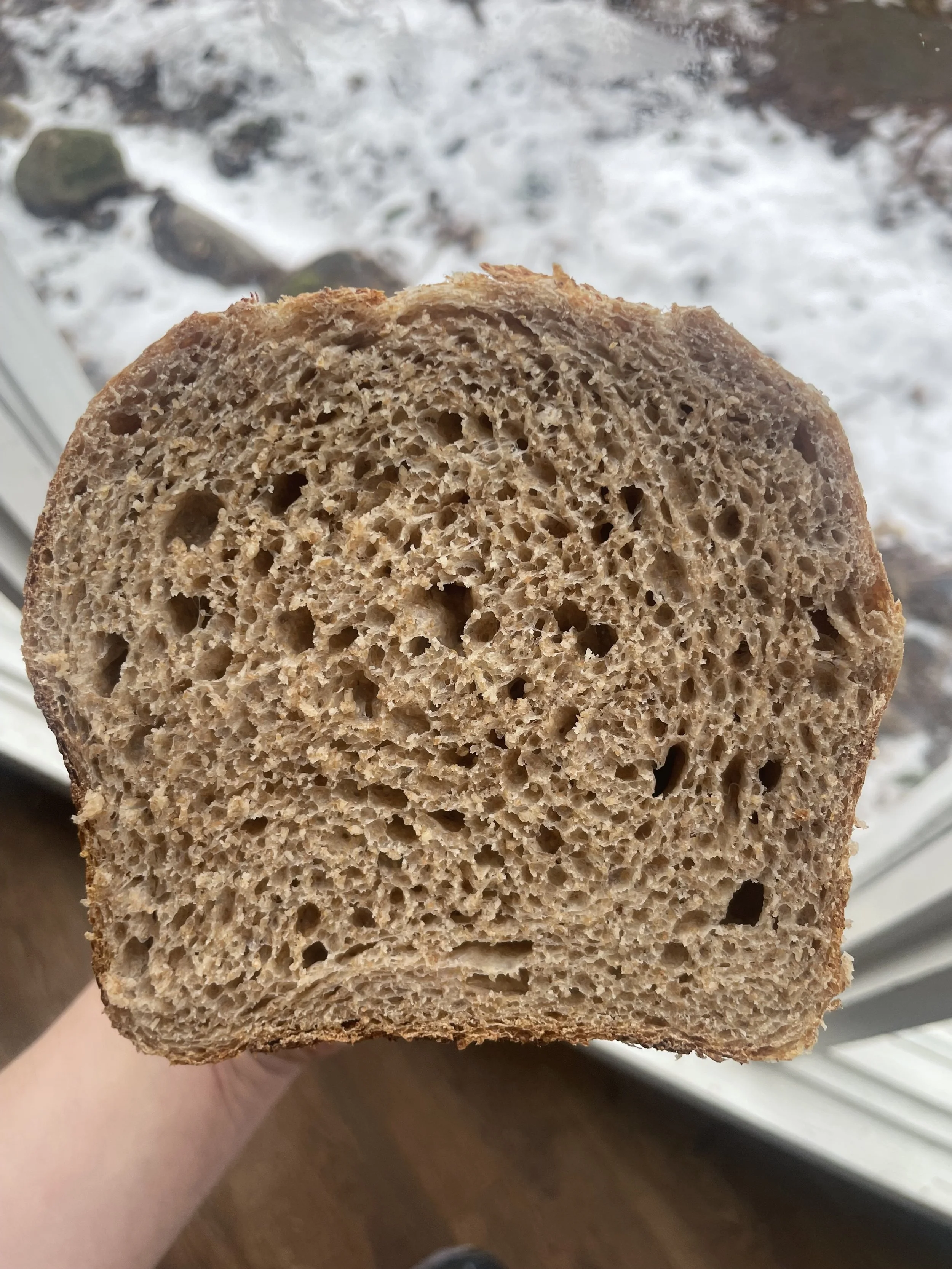 Whole Wheat Sourdough Loaf ($10)