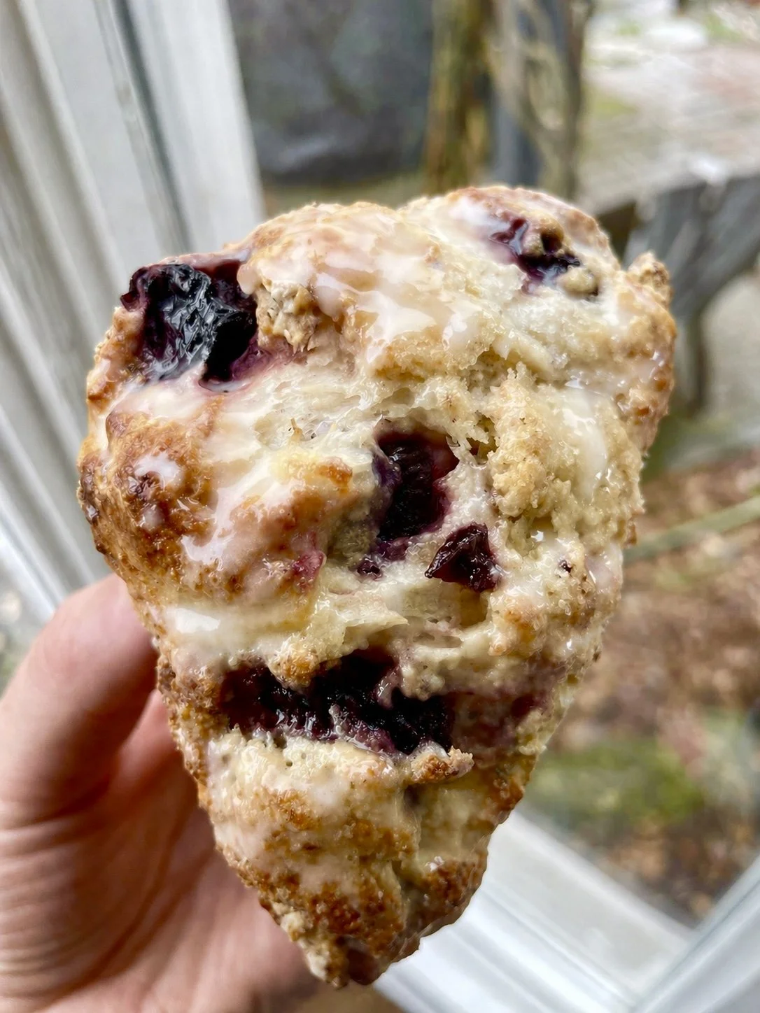 Cherry Vanilla Sourdough Scones ($14) (4 pack) (May Only)