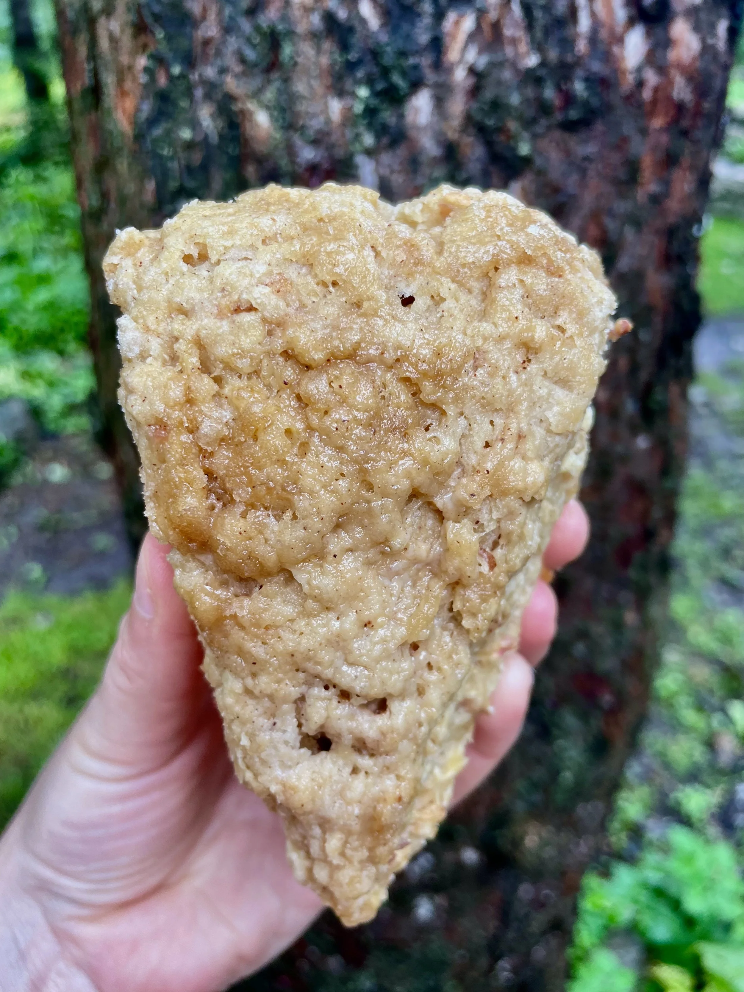 Apple Cinnamon Sourdough Scones (4 pack) ($14)