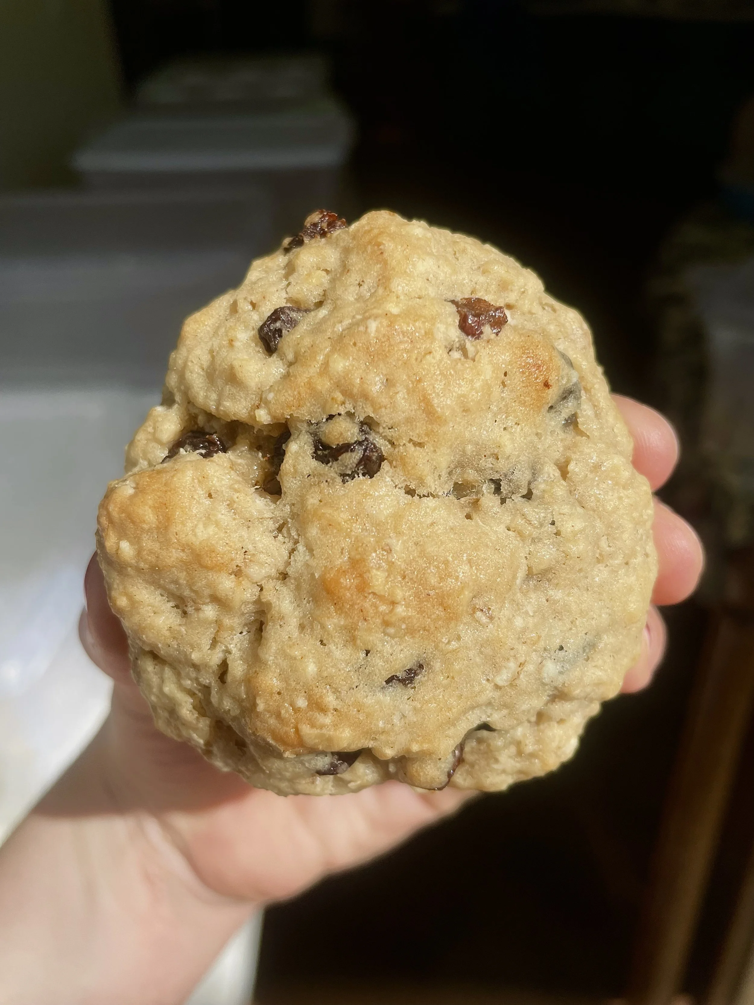 Oatmeal Raisin Sourdough Cookies ($14) (6 pack)
