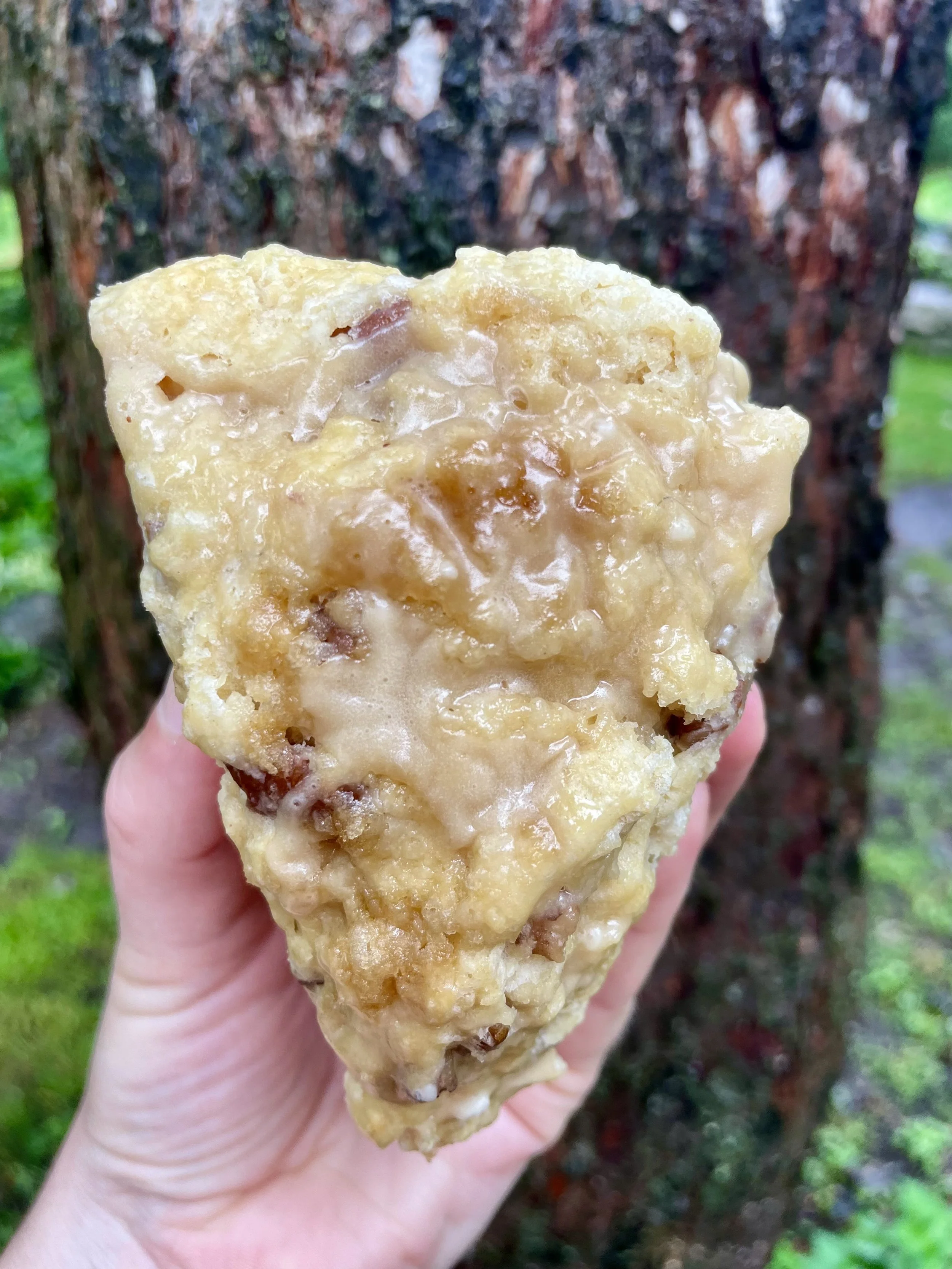 Maple Pecan Sourdough Scones ($15) (4 pack)