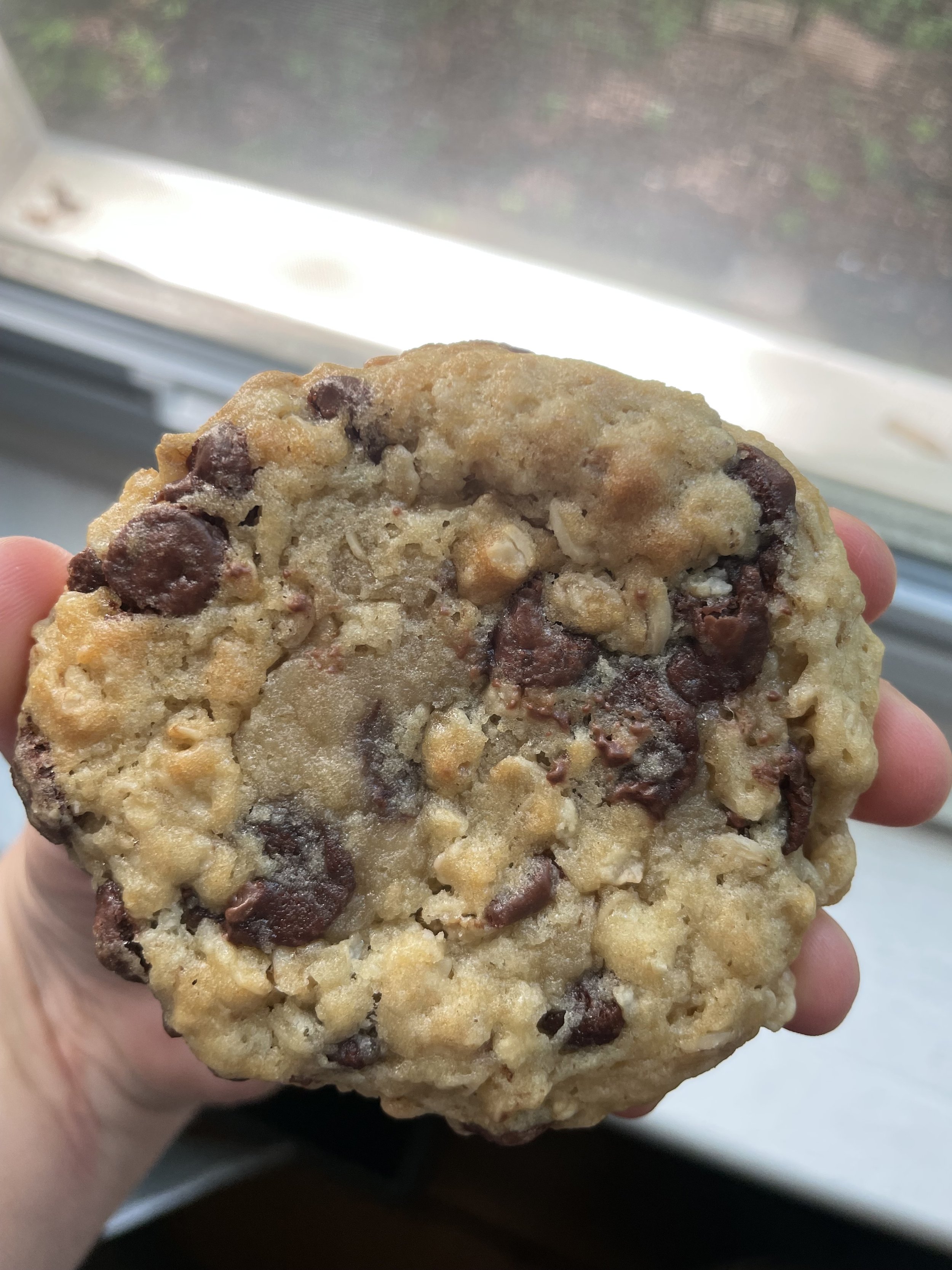 Oatmeal Chocolate Chip Sourdough Cookies ($14) (6 pack)