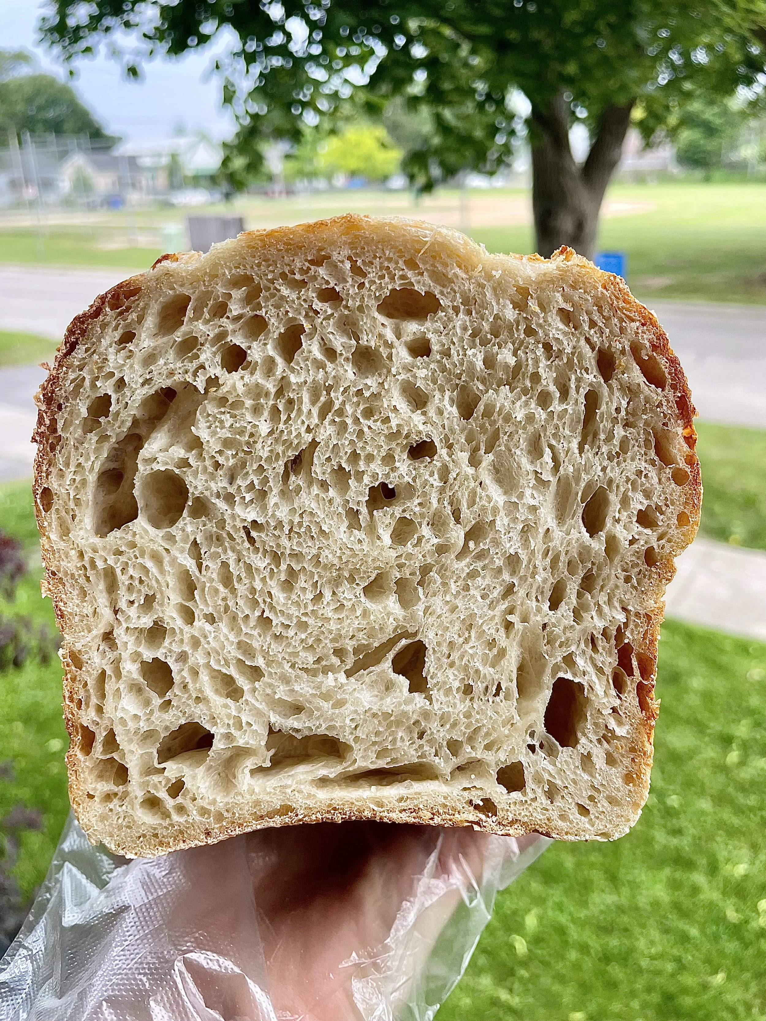 Plain Sourdough Loaf ($10)