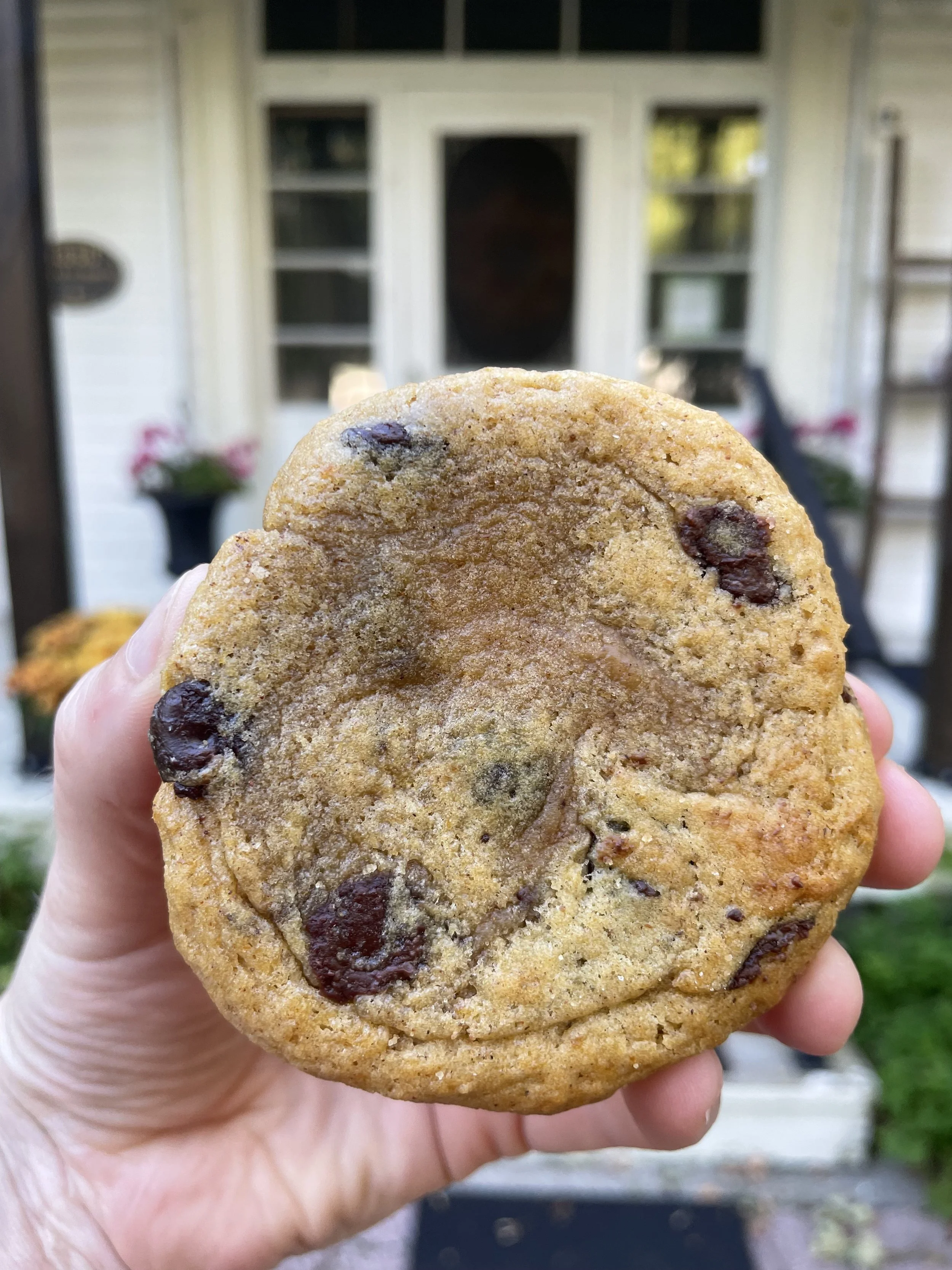 Pumpkin Dark Chocolate Sourdough Cookies ($14) (6 pack)