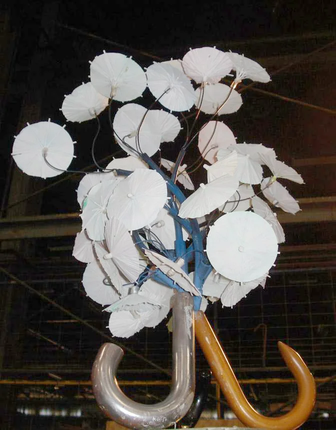 Scale model for Brollyflock (R. Anders 2011)