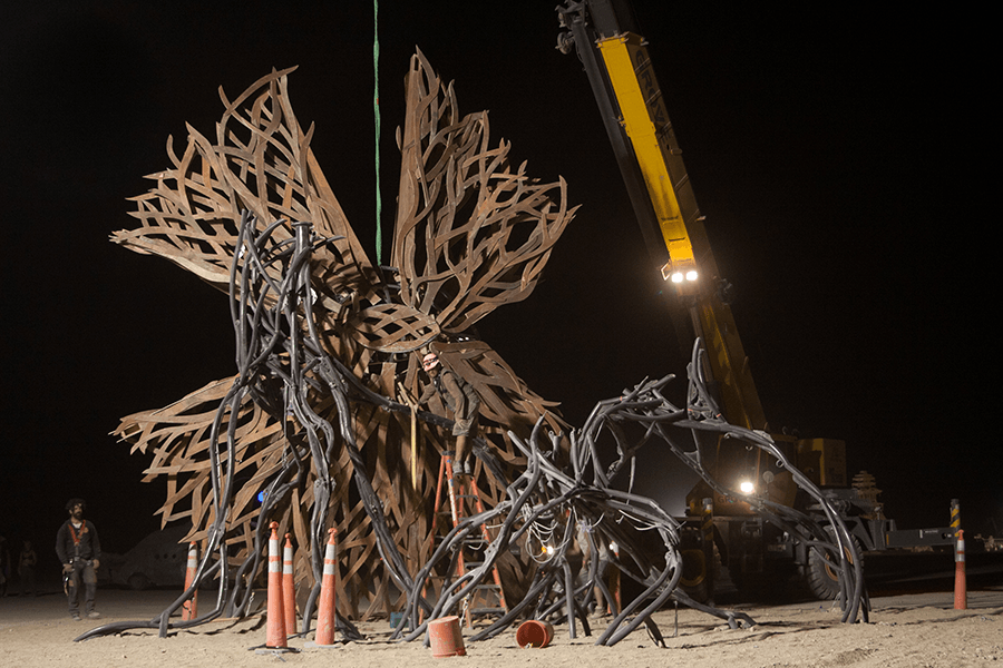 Zoa installation at Burning Man. photo: Sarah Tappon 2012