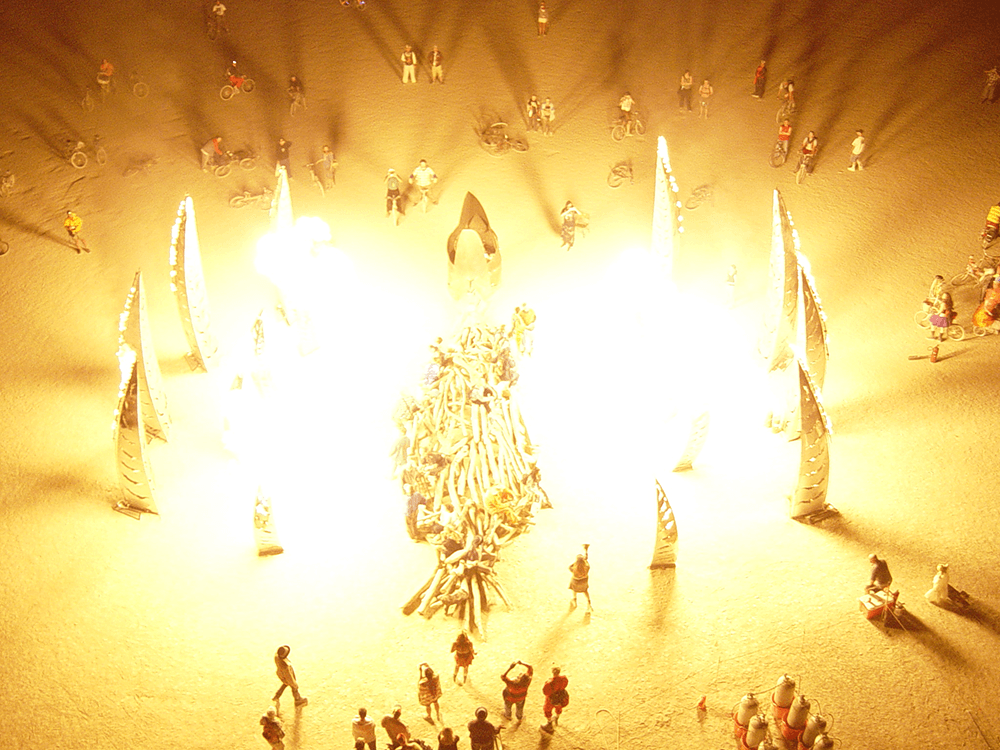 All Poof! photo: Caroline Miller 2005