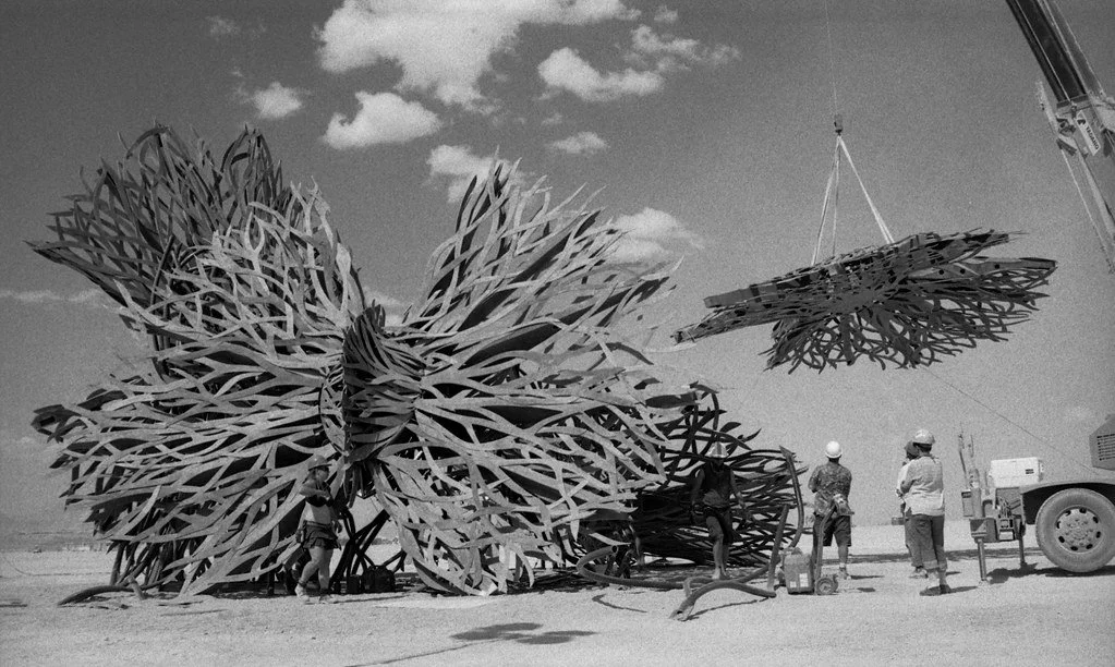 Seed Installation. photo: Yassen Roussev 2012