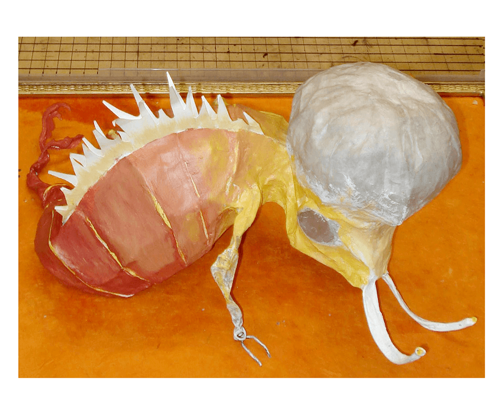 Scale model of FishBug