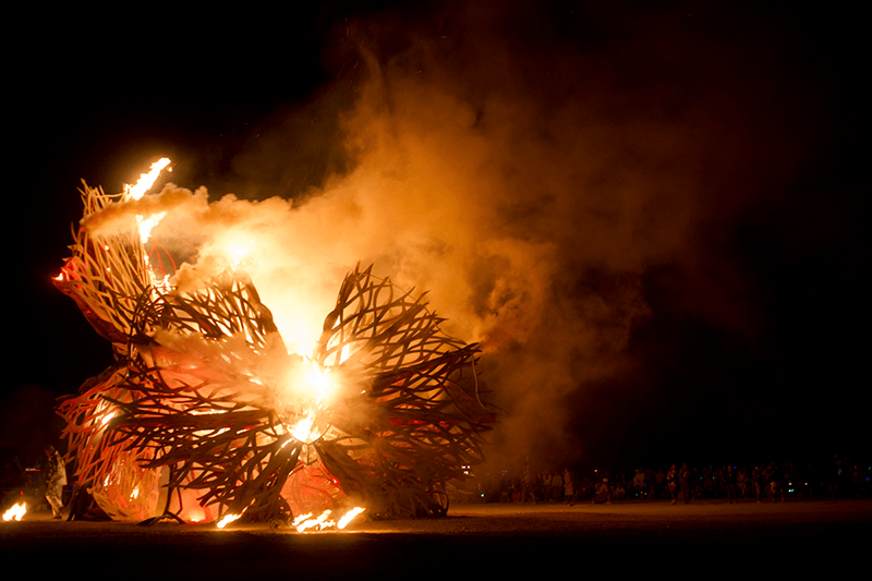 Zoa burn. photo: Audrey Penven 2012