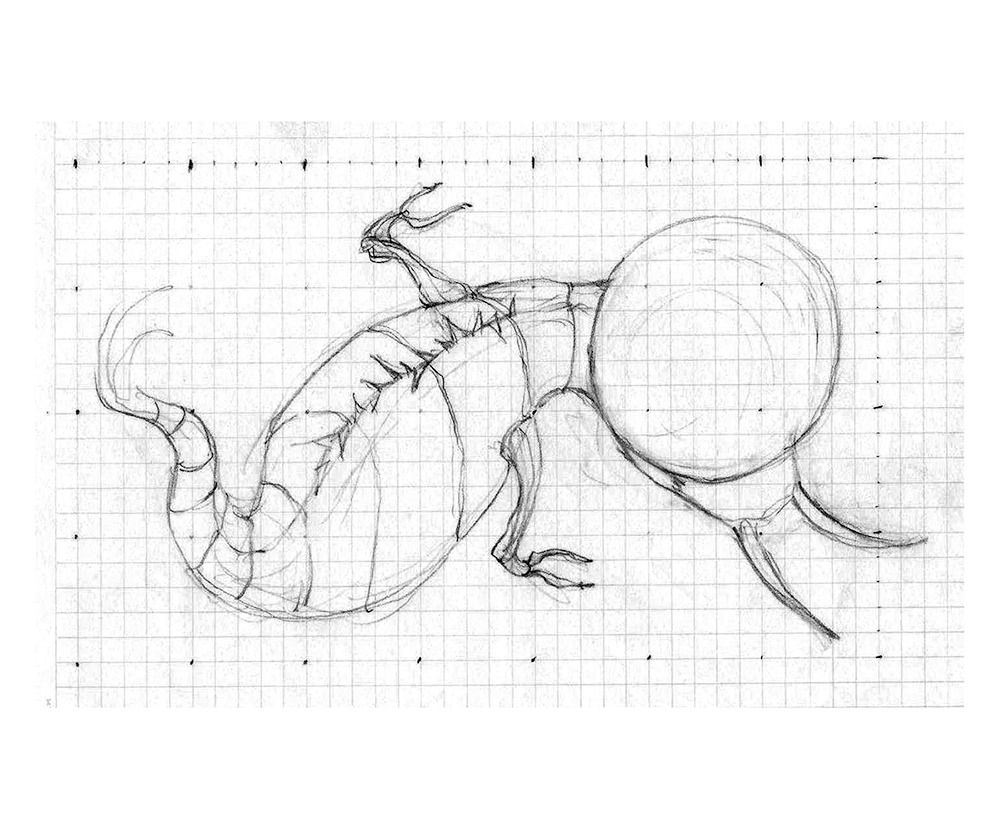 FishBug plan view (R. Anders 2009)