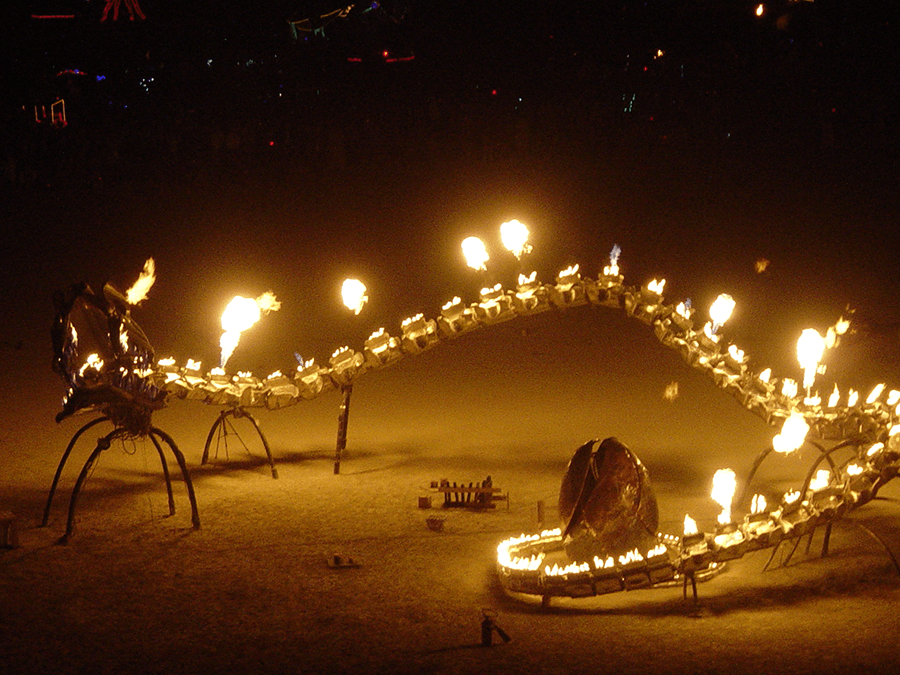 Serpent Mother alight. photo: Yasmin Mawaz-Khan 2006
