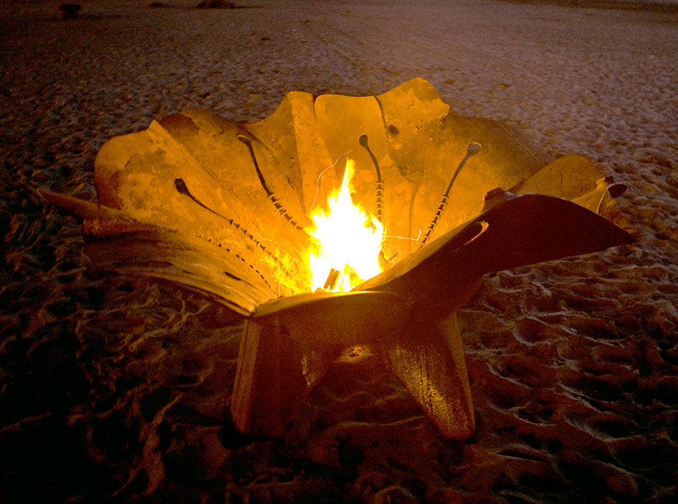 Fire Blooms (2006-2008). photo: Yasmin Mawaz-Khan