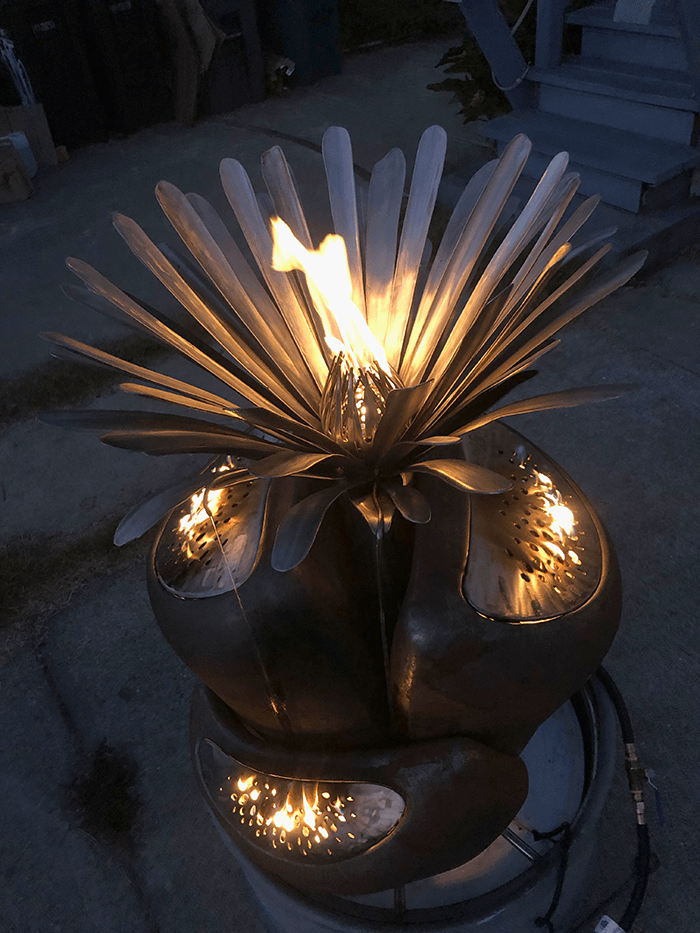 Lithops fire and water sculpture, 2019