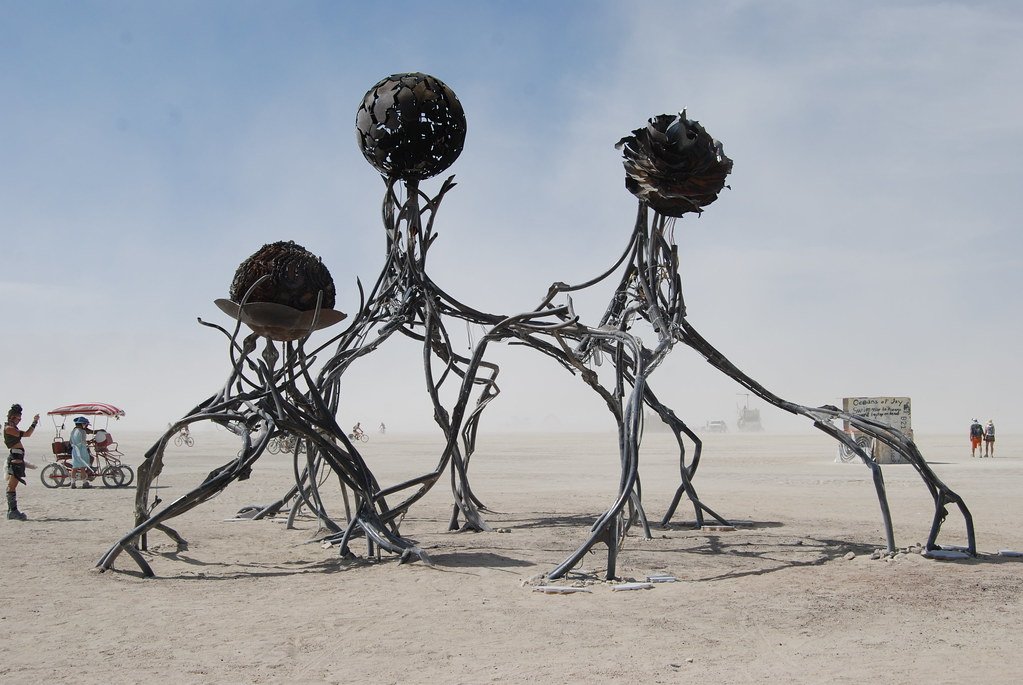 Zoa emerging. photo: Christine Rosakranse 2012