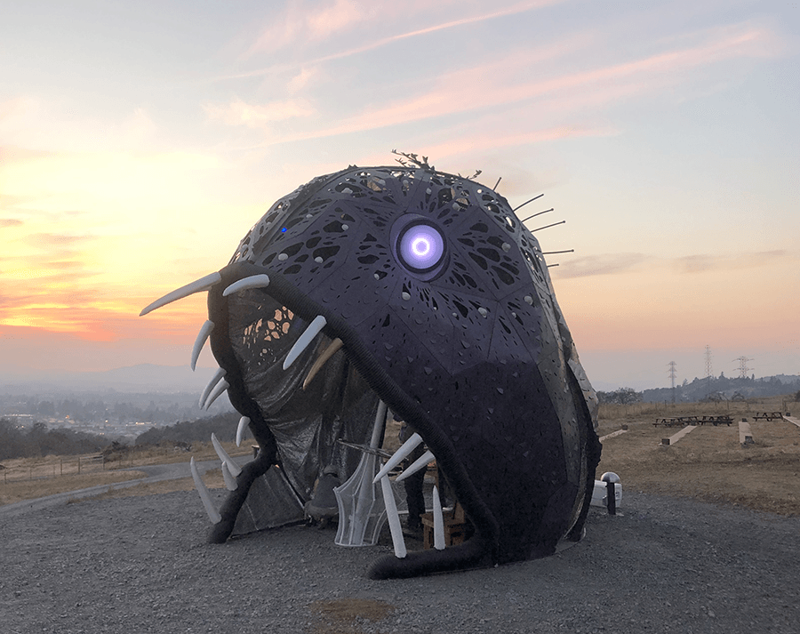 Illumacanth at Paradise Ridge Winery in Santa Rosa, CA, 2020