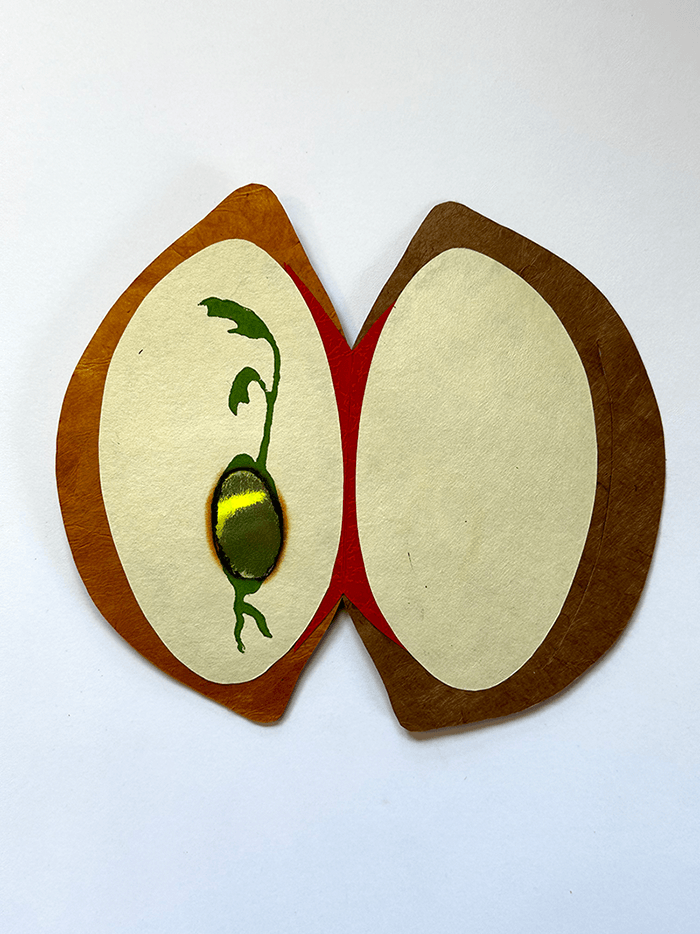 New Sprout inside: stencil, burn, collage.